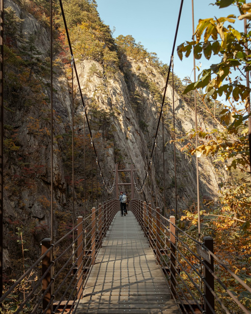 a person walking across a suspension bridge over a river