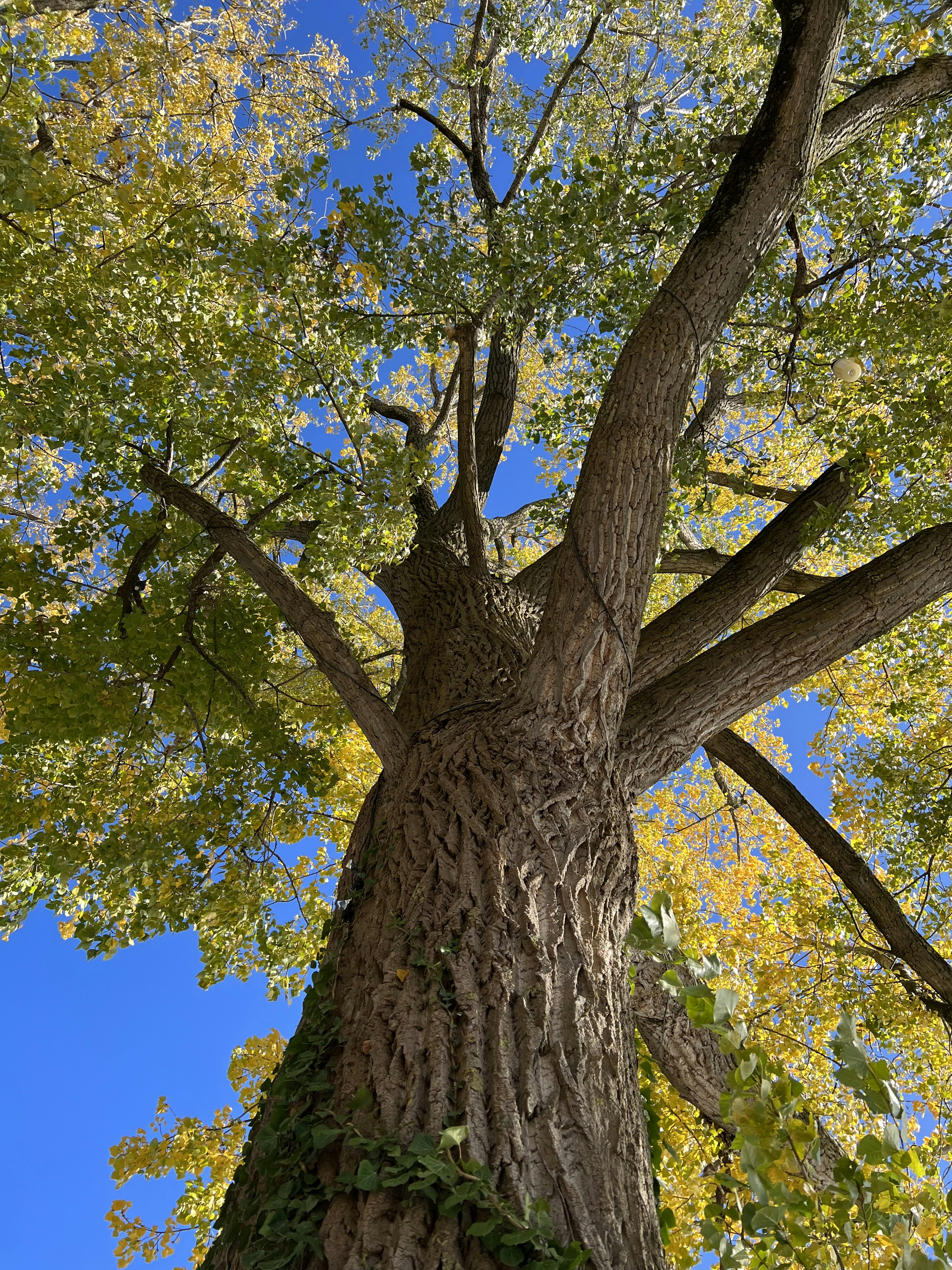 Photo by ioanavalentina