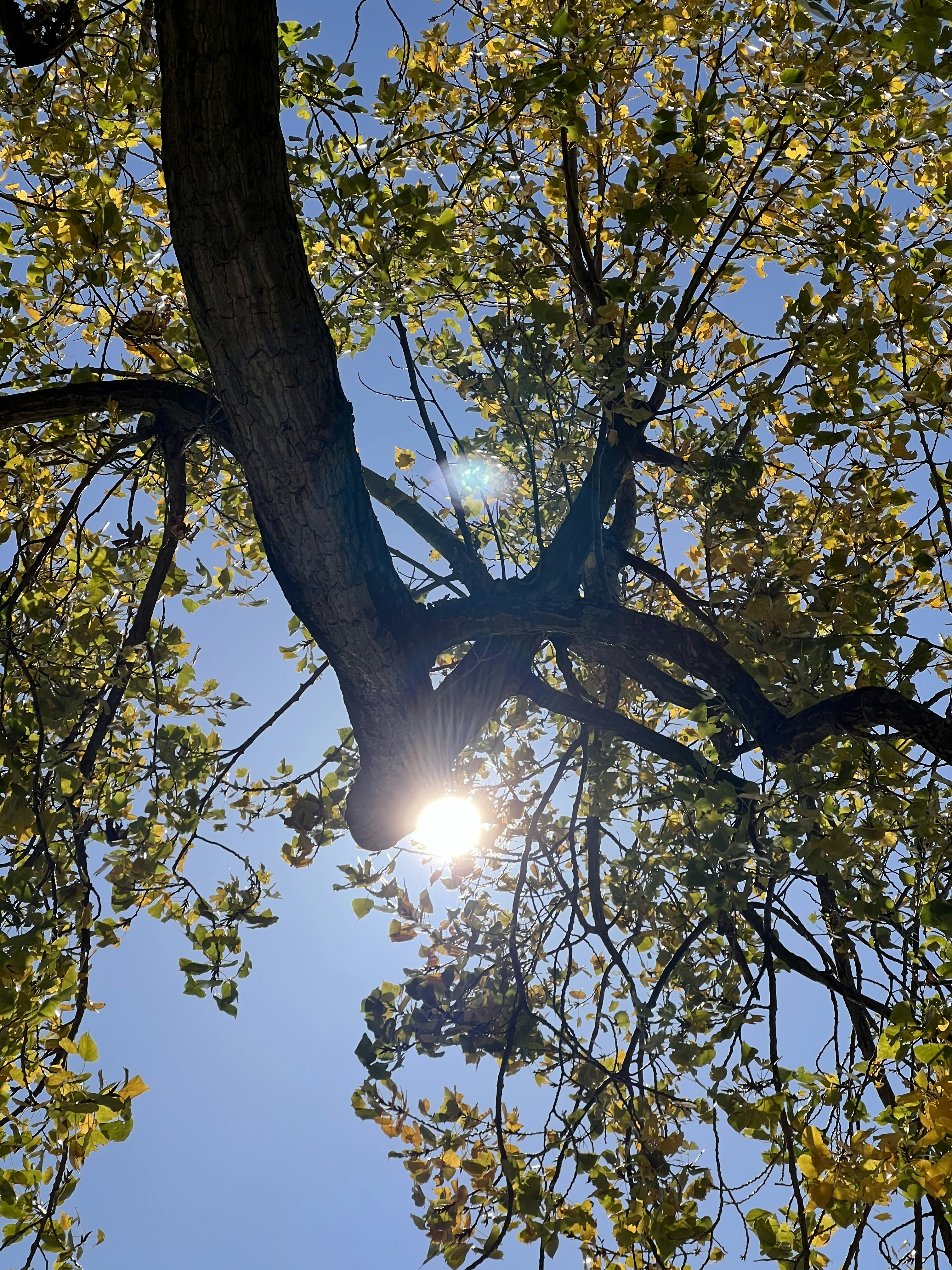 Photo by ioanavalentina