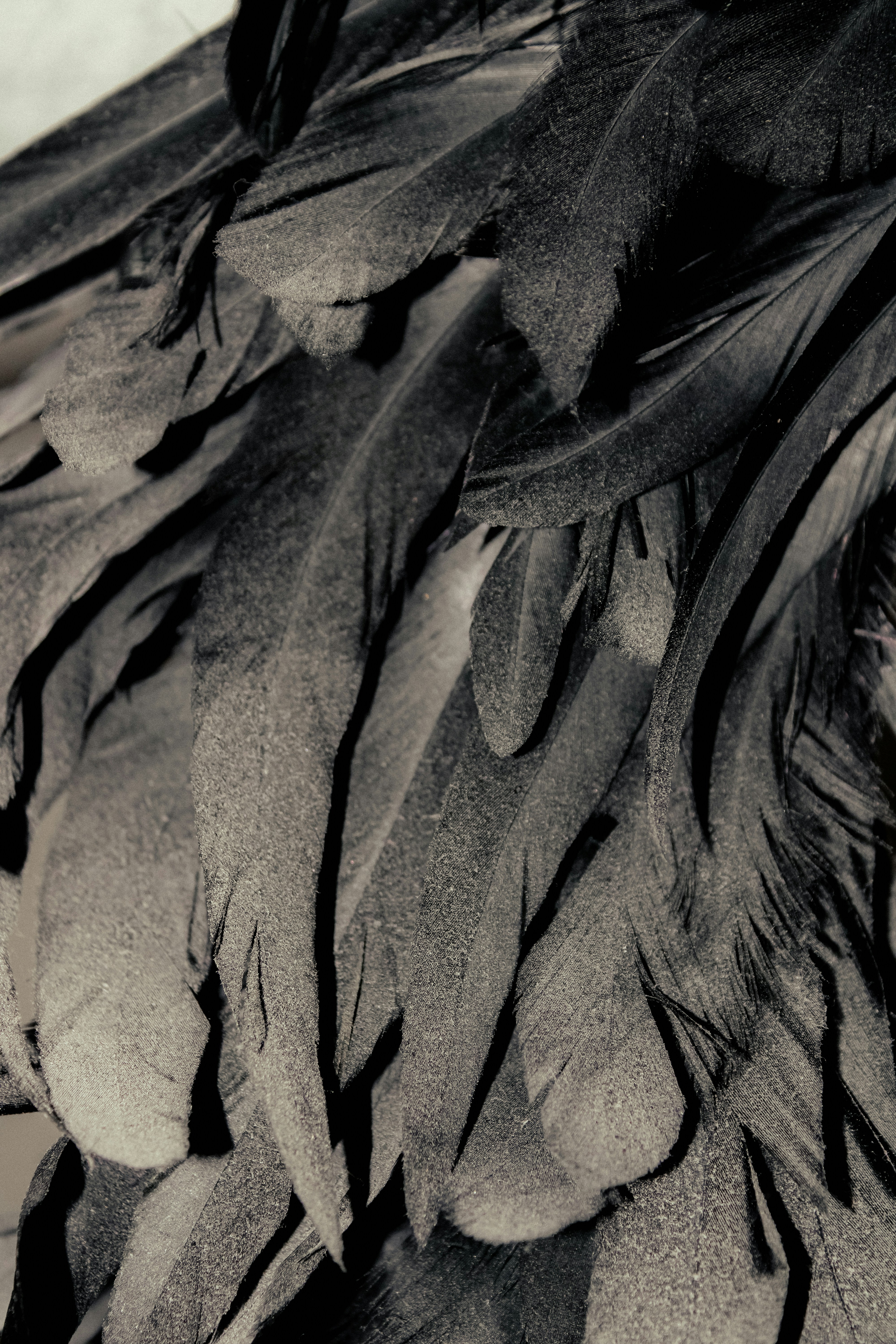 Photo by linusbelanger