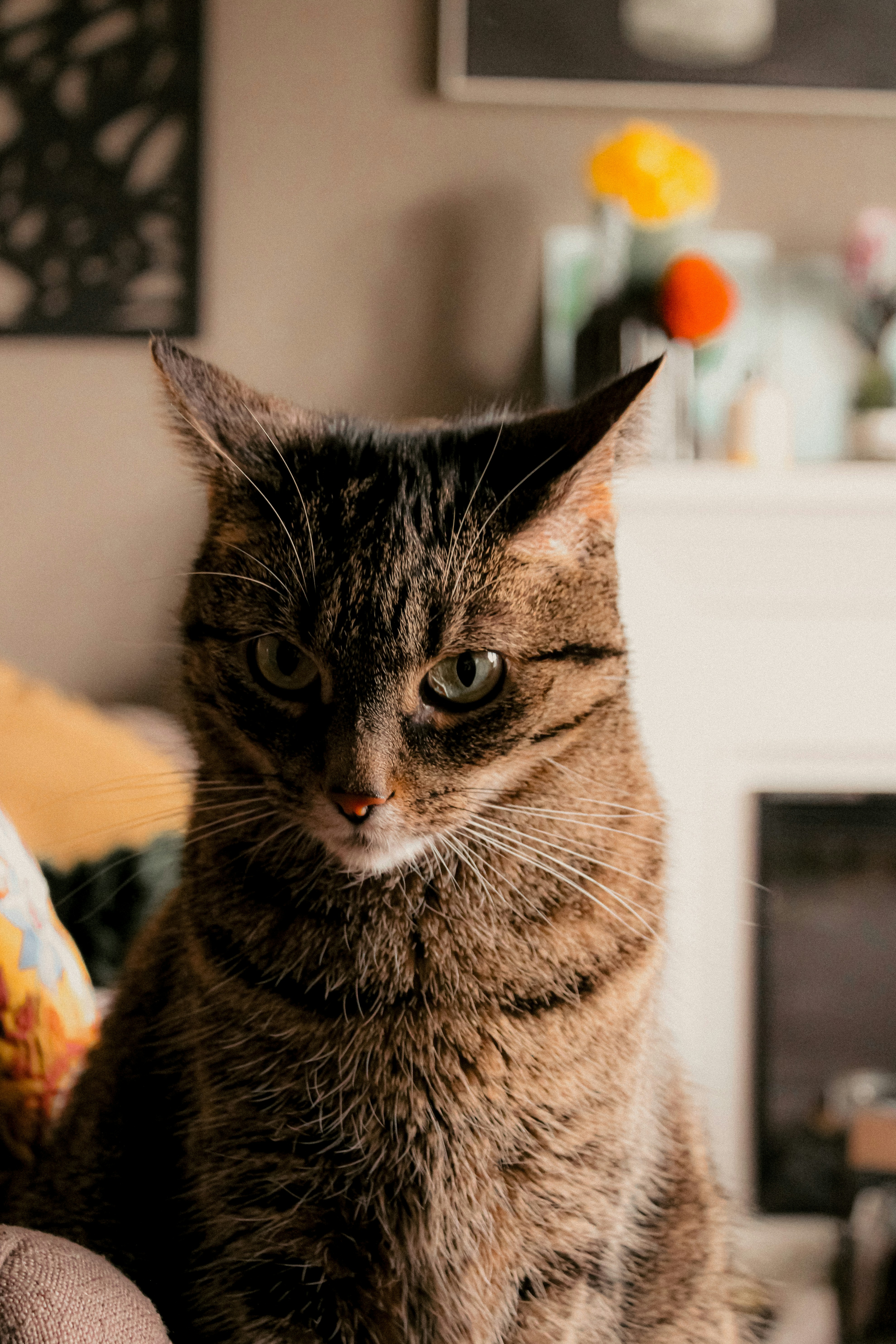 Photo by linusbelanger