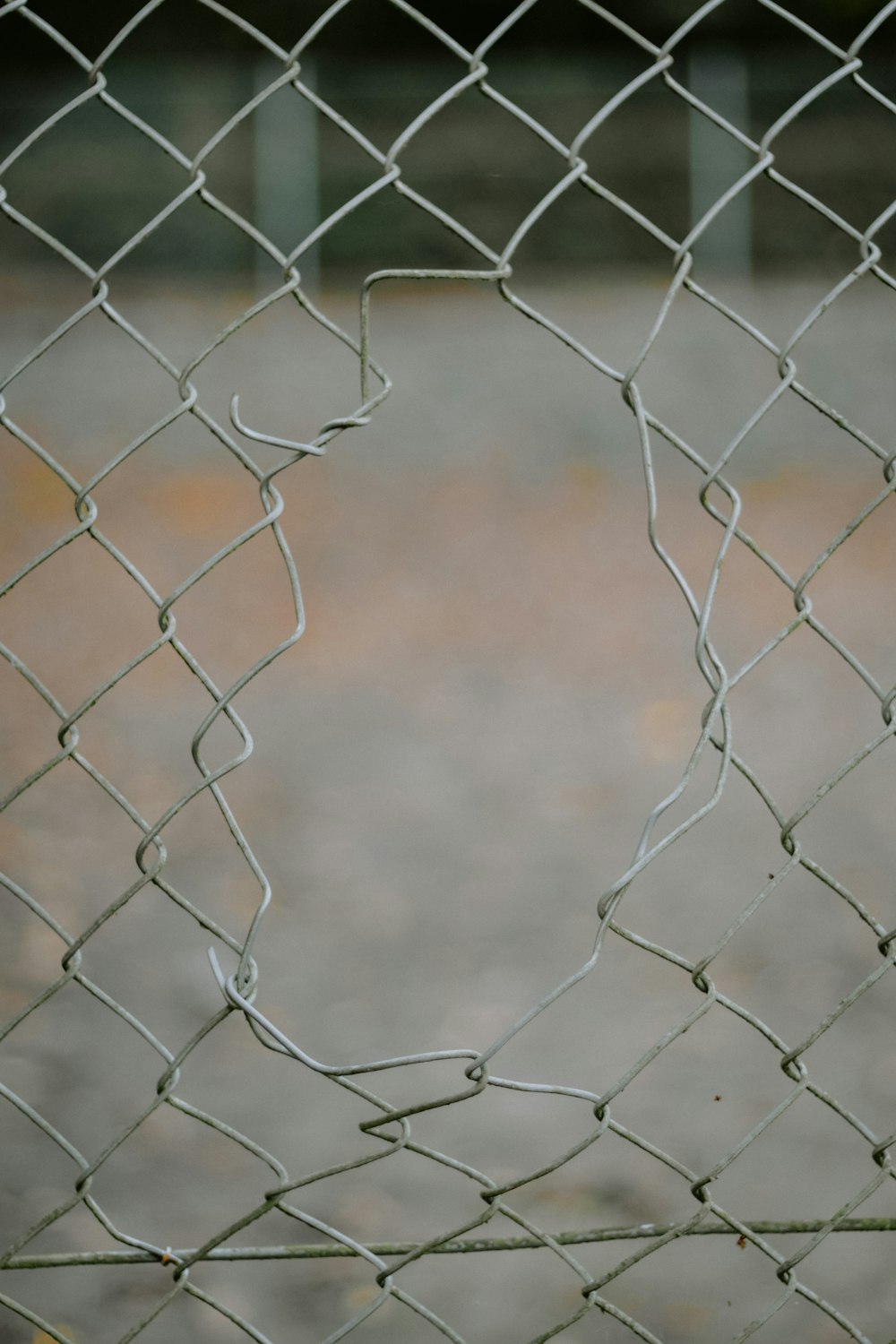 a bird is perched on a wire fence