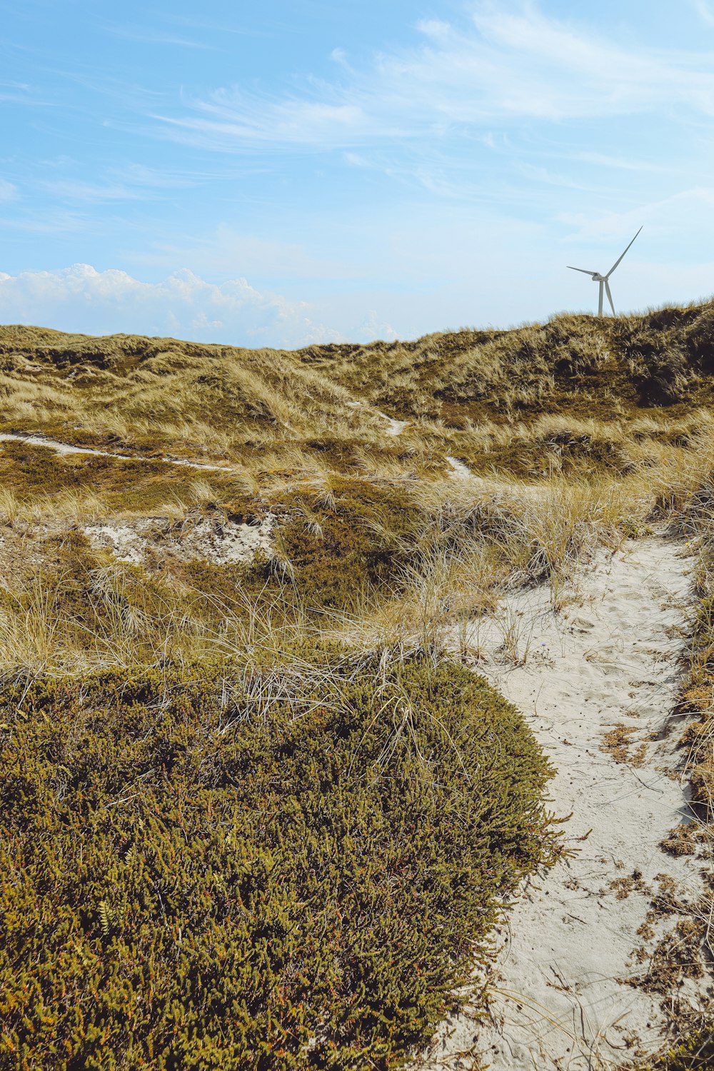 a wind turbine in the distance on a grassy hill