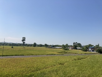 Green field with potential building lots under a sunny sky.