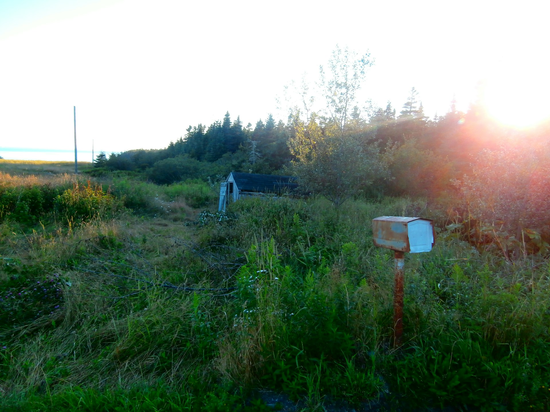 gray computer monitor
