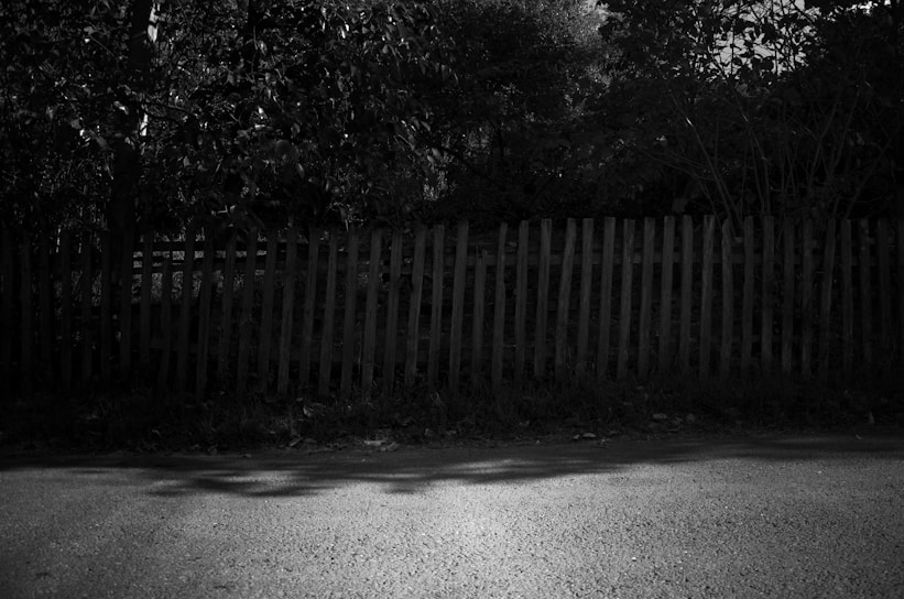 A modern wooden fence casting soft shadows over a lush garden.
