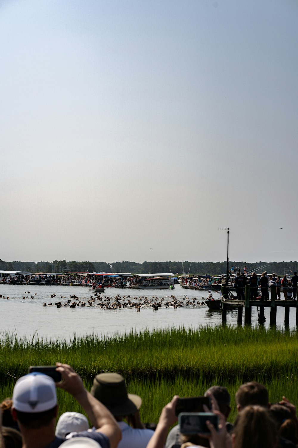 a crowd of people watching a large body of water