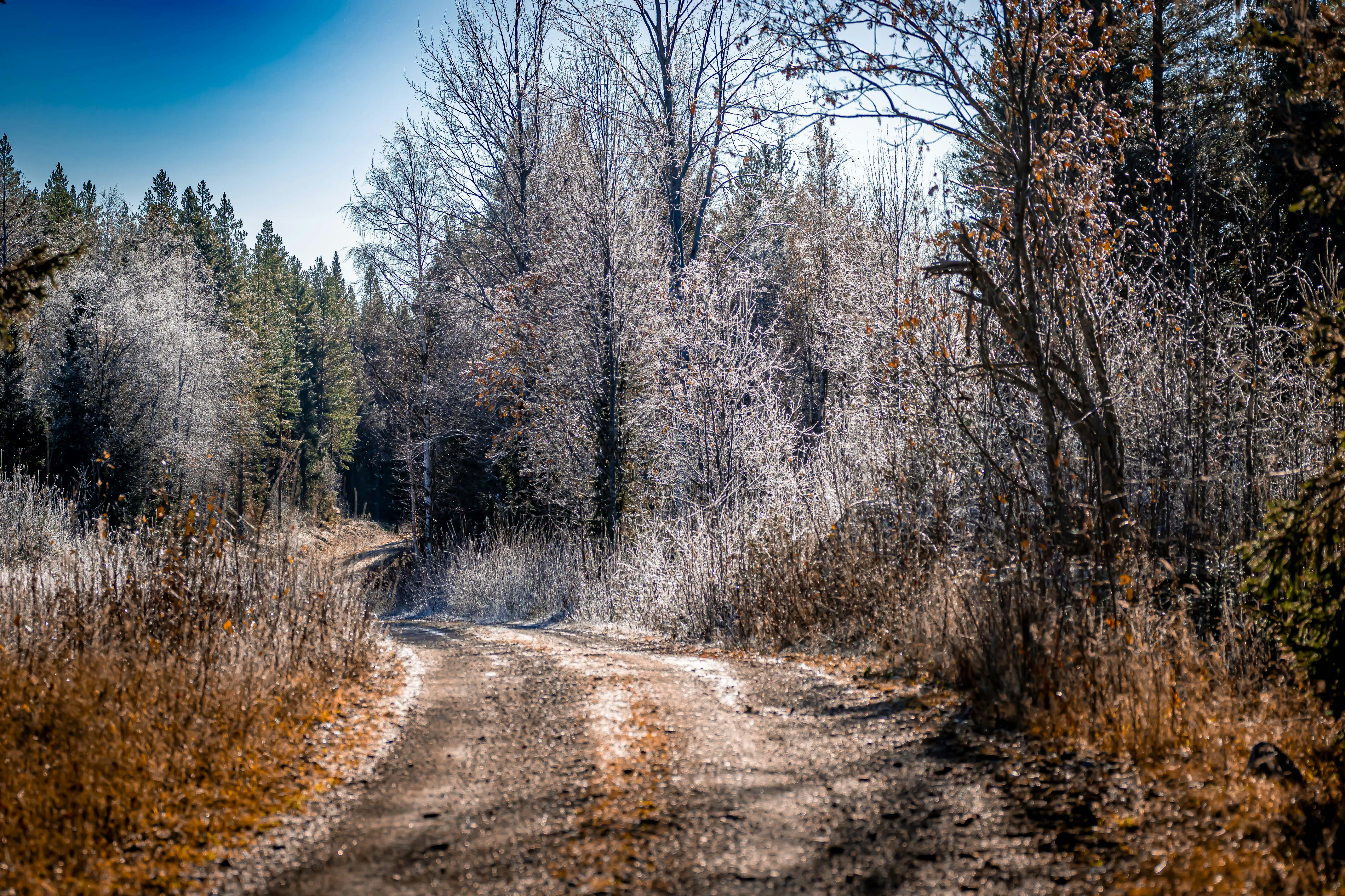 Photo by lassenystedtfoto