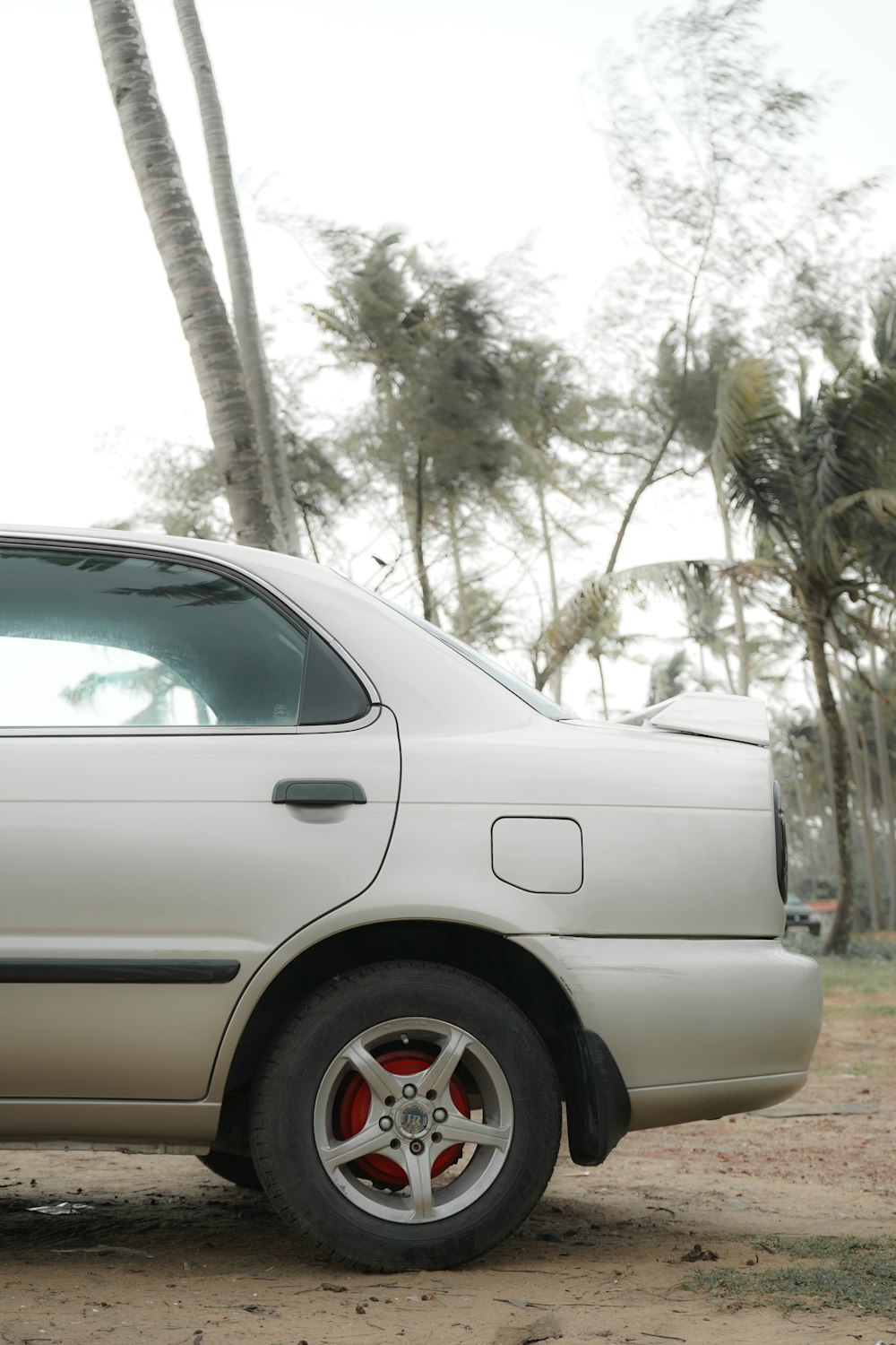 a white car parked in front of a palm tree