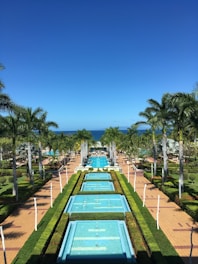 a view of a pool surrounded by palm trees