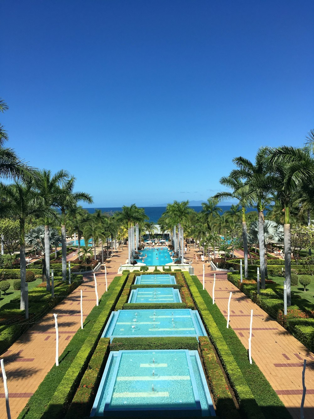 a view of a pool surrounded by palm trees