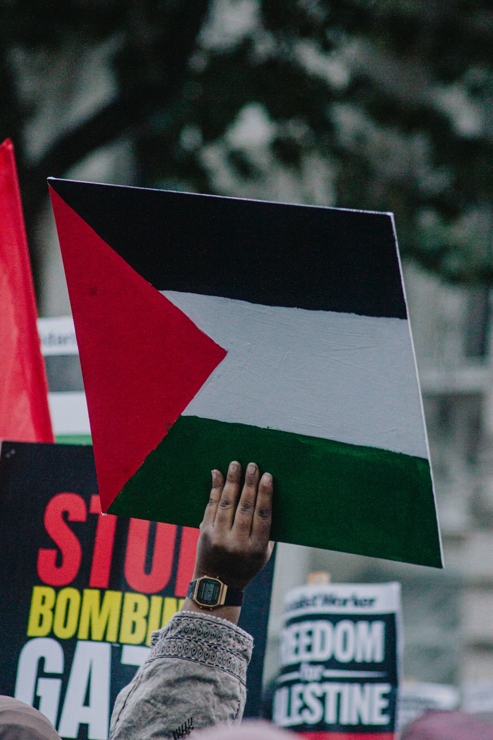 a person holding a sign with a flag on it