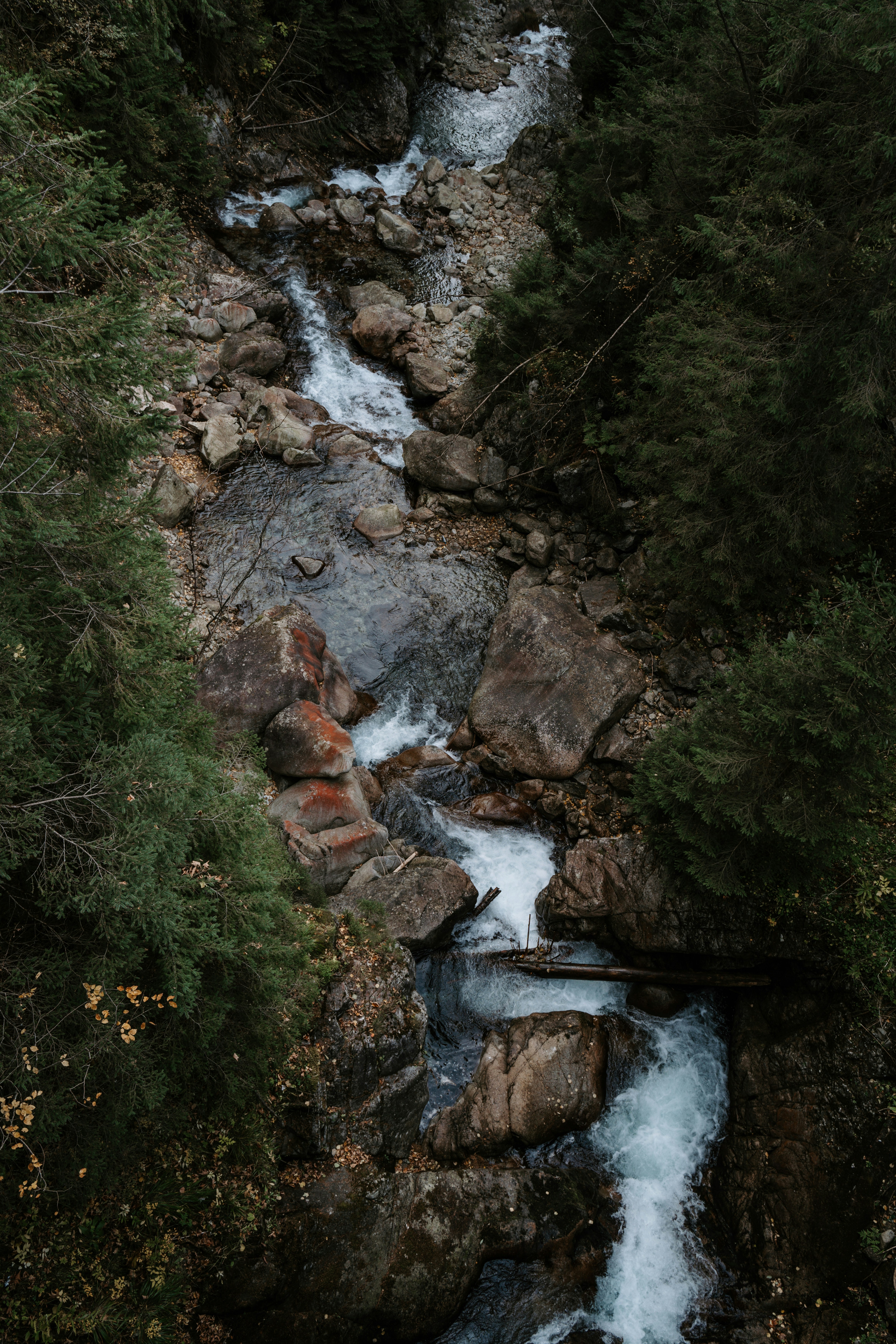 Photo by p_kuzovkova