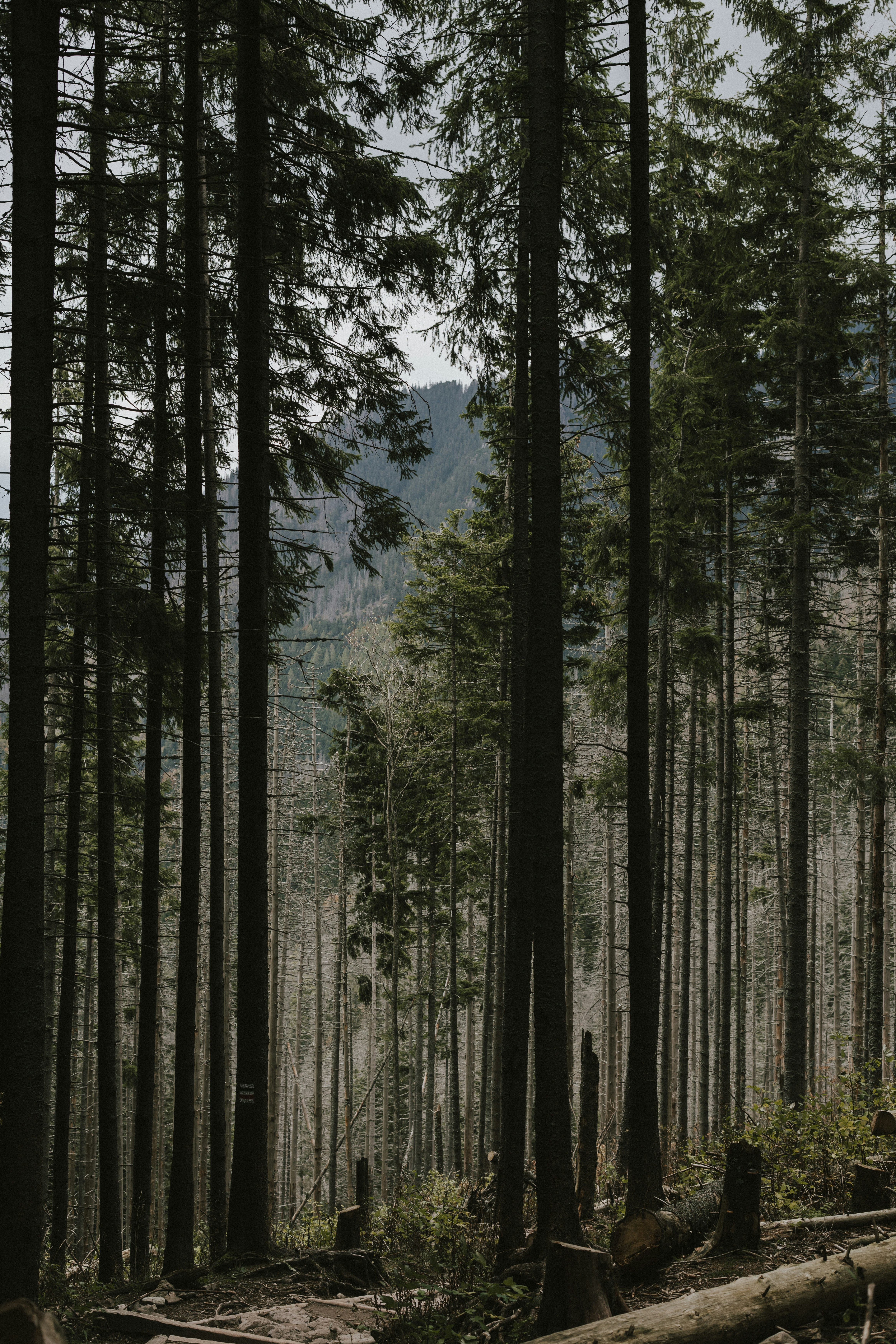 Photo by p_kuzovkova