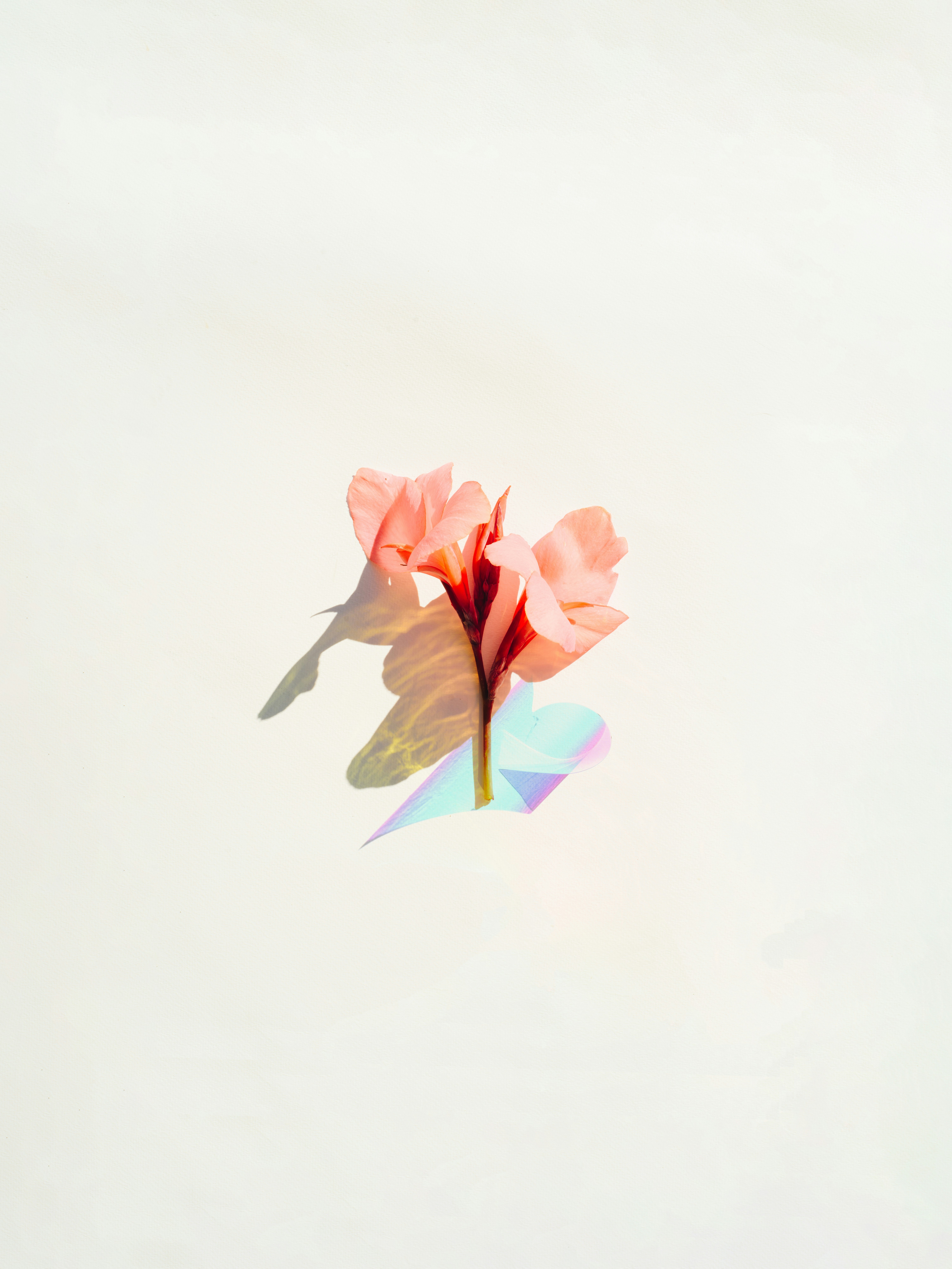 Photo by evieshaffer