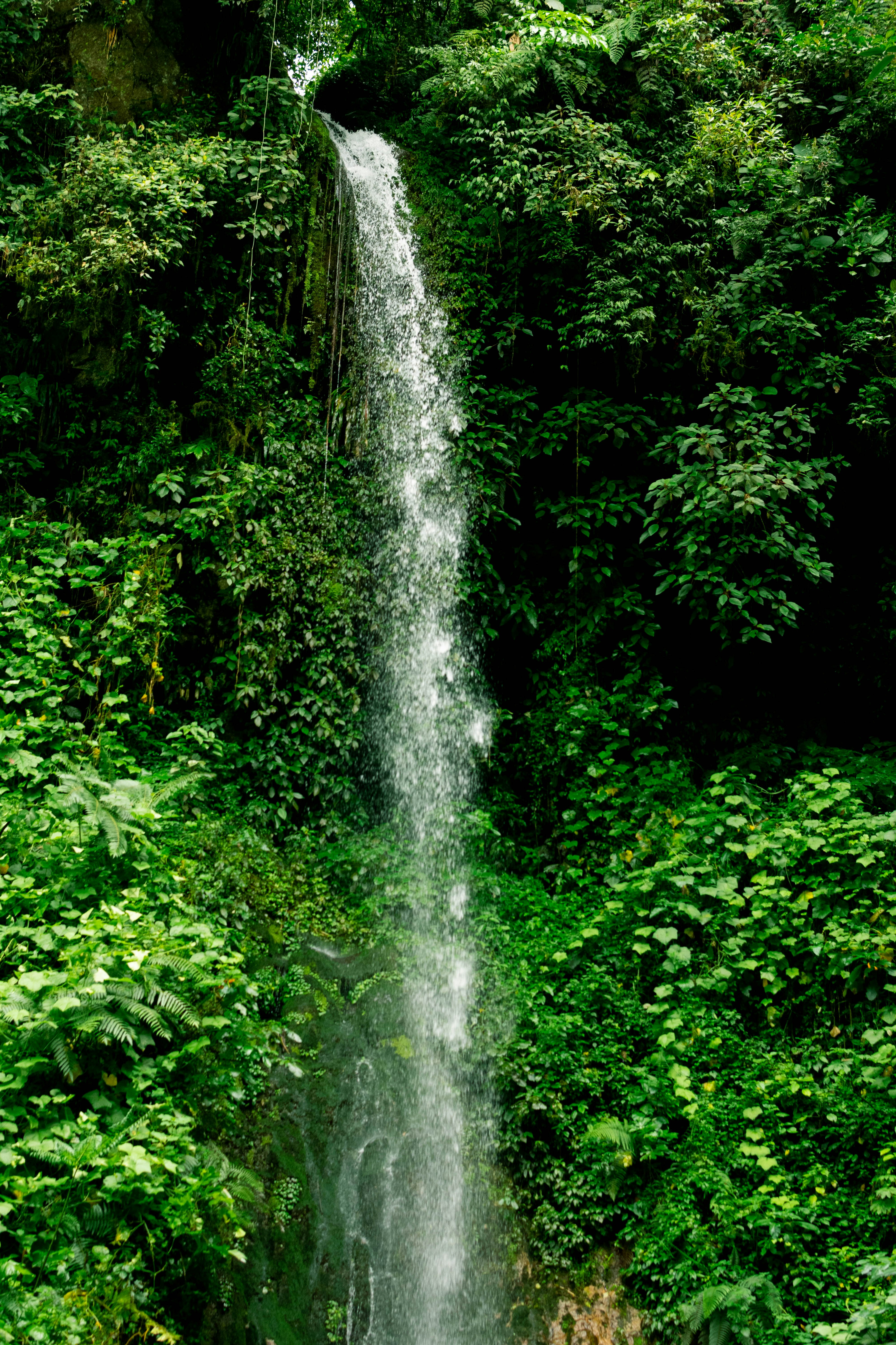 Photo by arlethmaria