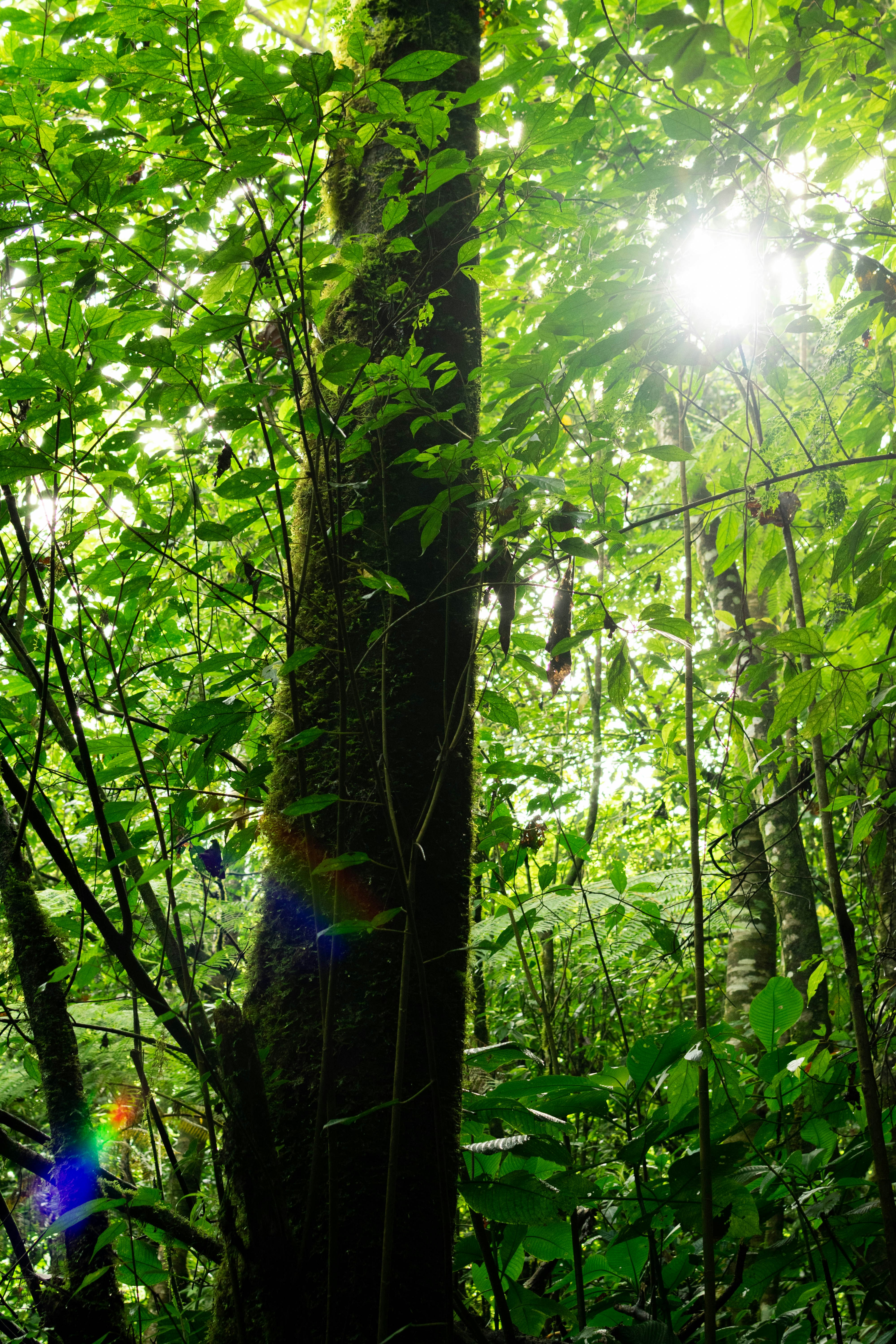 Photo by arlethmaria