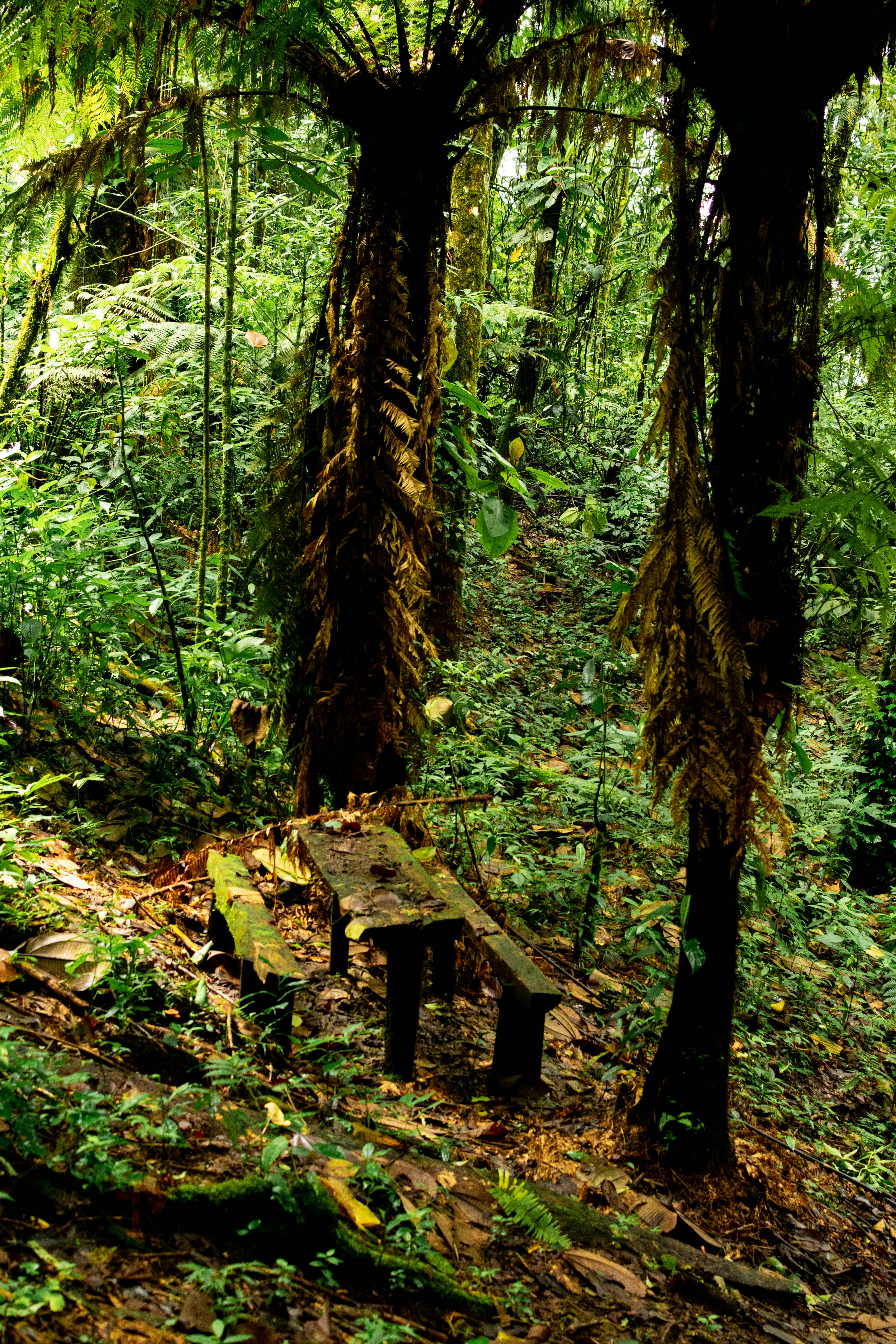 Photo by arlethmaria