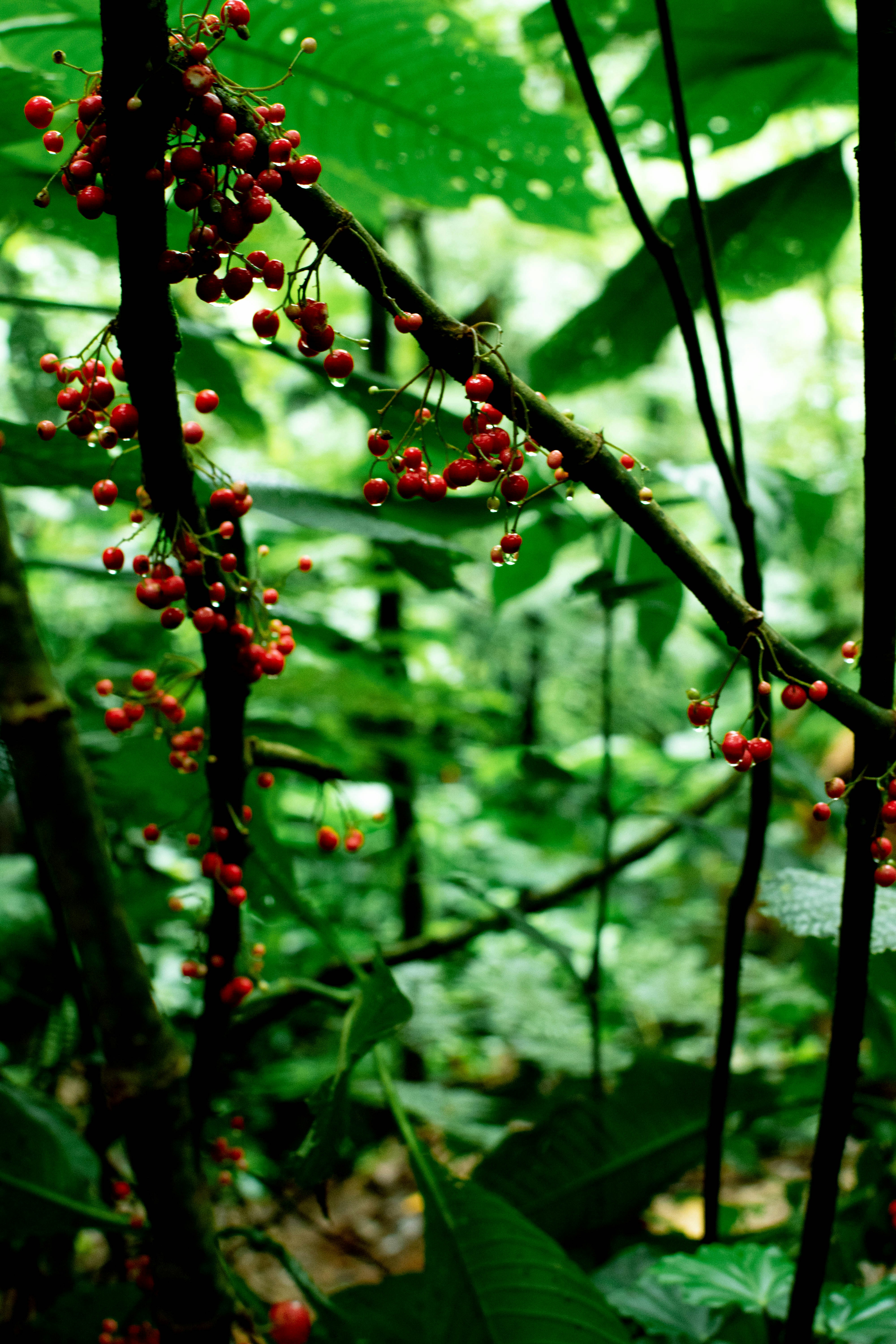 Photo by arlethmaria