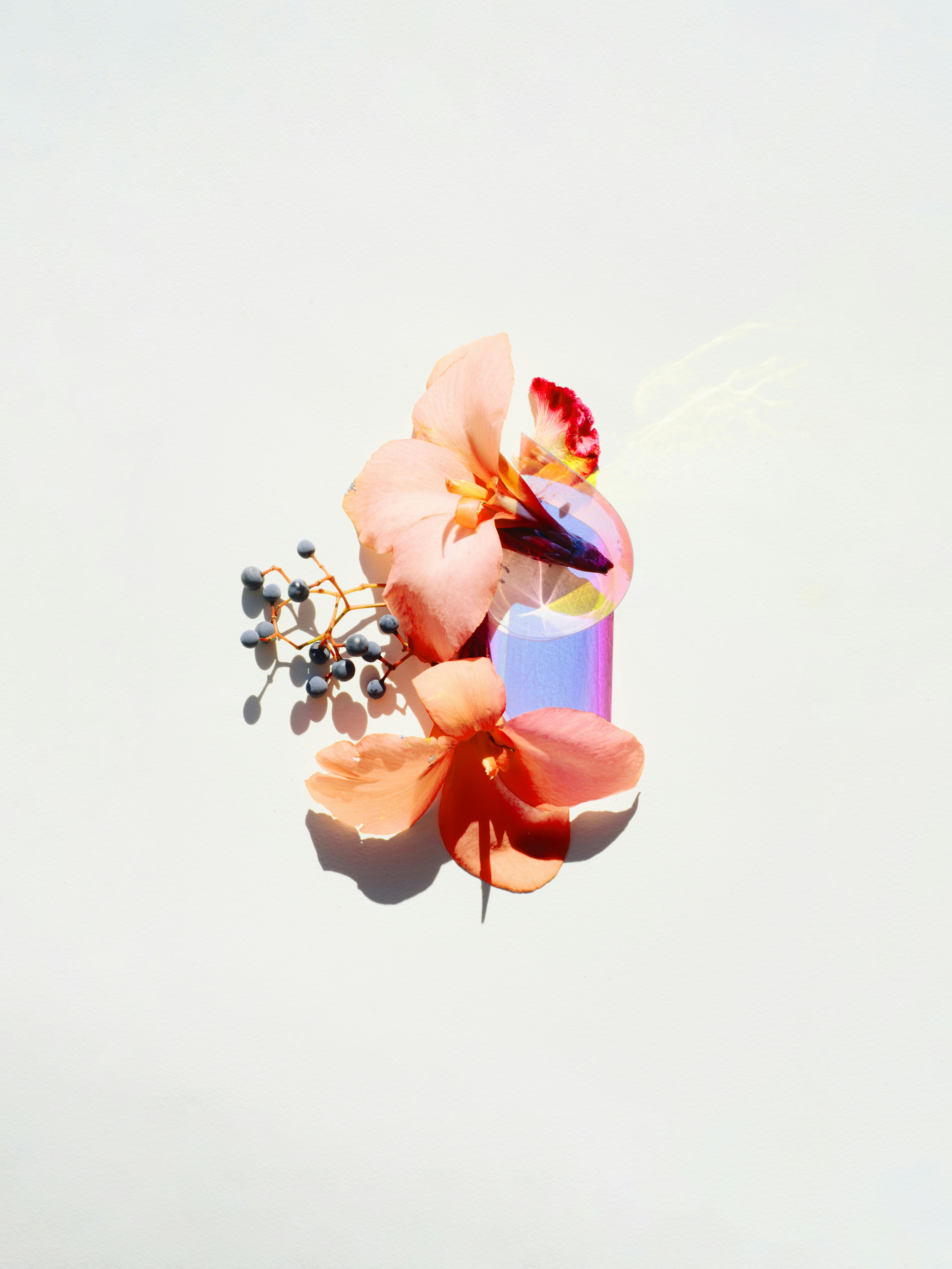 Photo by evieshaffer