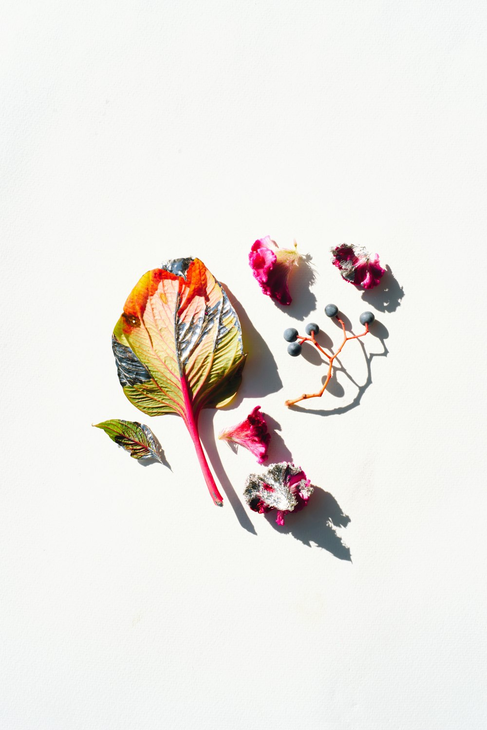 a group of flowers laying on top of a white surface