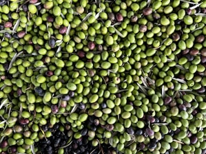 a large pile of olives and other fruits