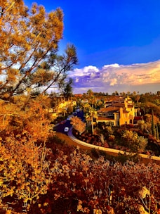 A scenic view of a suburban neighborhood featuring a winding road lined with well-maintained houses and lush gardens. The foreground is dominated by autumn-colored trees, creating a vibrant and warm contrast against the bright blue sky. White fluffy clouds are scattered across the sky, adding depth to the scene.
