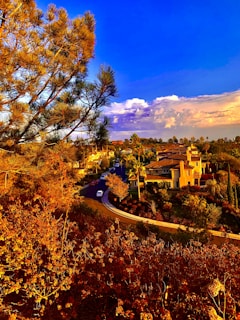 A scenic view of a tranquil neighborhood.