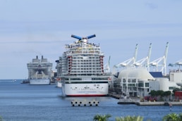a large cruise ship docked in a harbor