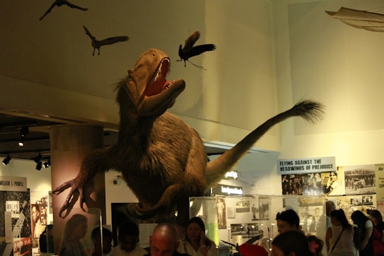 A museum exhibit features a large dinosaur model with an open mouth and sharp teeth, positioned as if in motion or attack. Several bird models are flying overhead. The background includes informational panels and photographs related to history or science. Visitors are observing the display, creating a lively atmosphere.