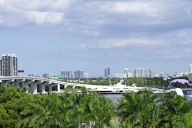 An elegant Miami skyline view with yachts docked and palm trees swaying in the breeze.