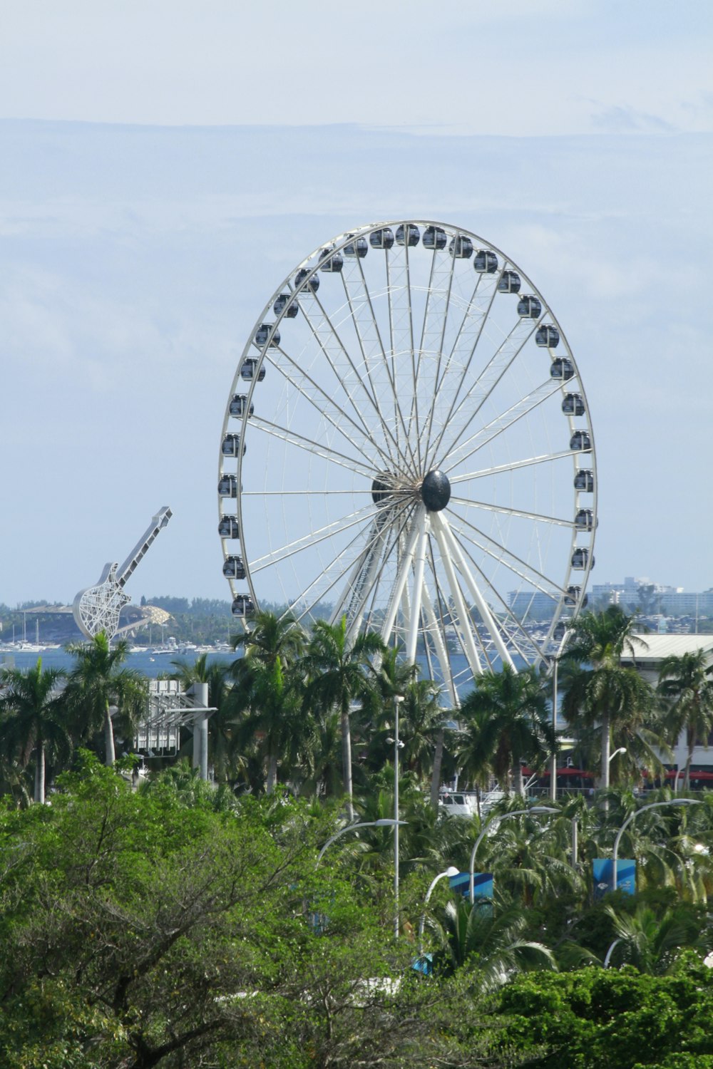 a ferris wheel in the middle of a park