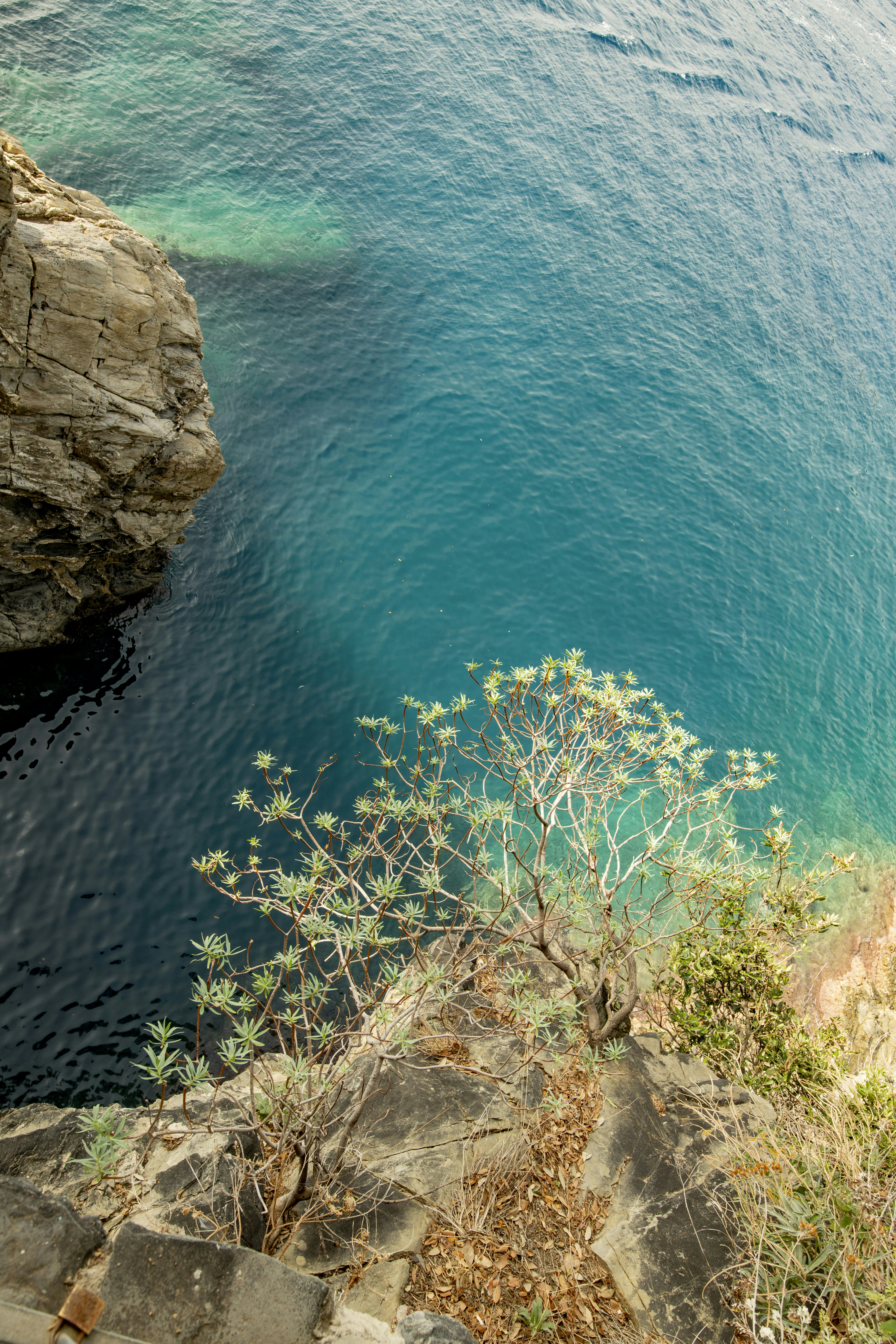 Photo by lauraadaiphoto