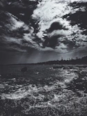 Stormy skies gathering above a windswept rocky shoreline.