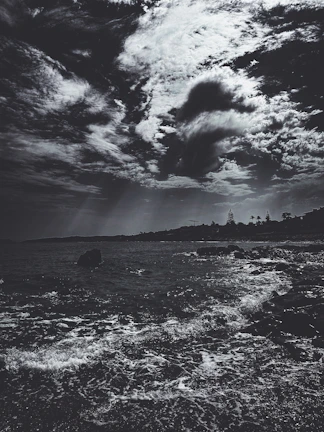Stormy skies gathering above a windswept rocky shoreline.
