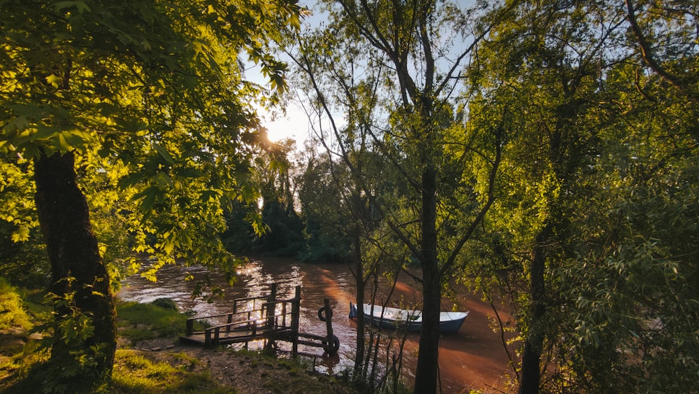 a boat sitting on top of a river next to a forest