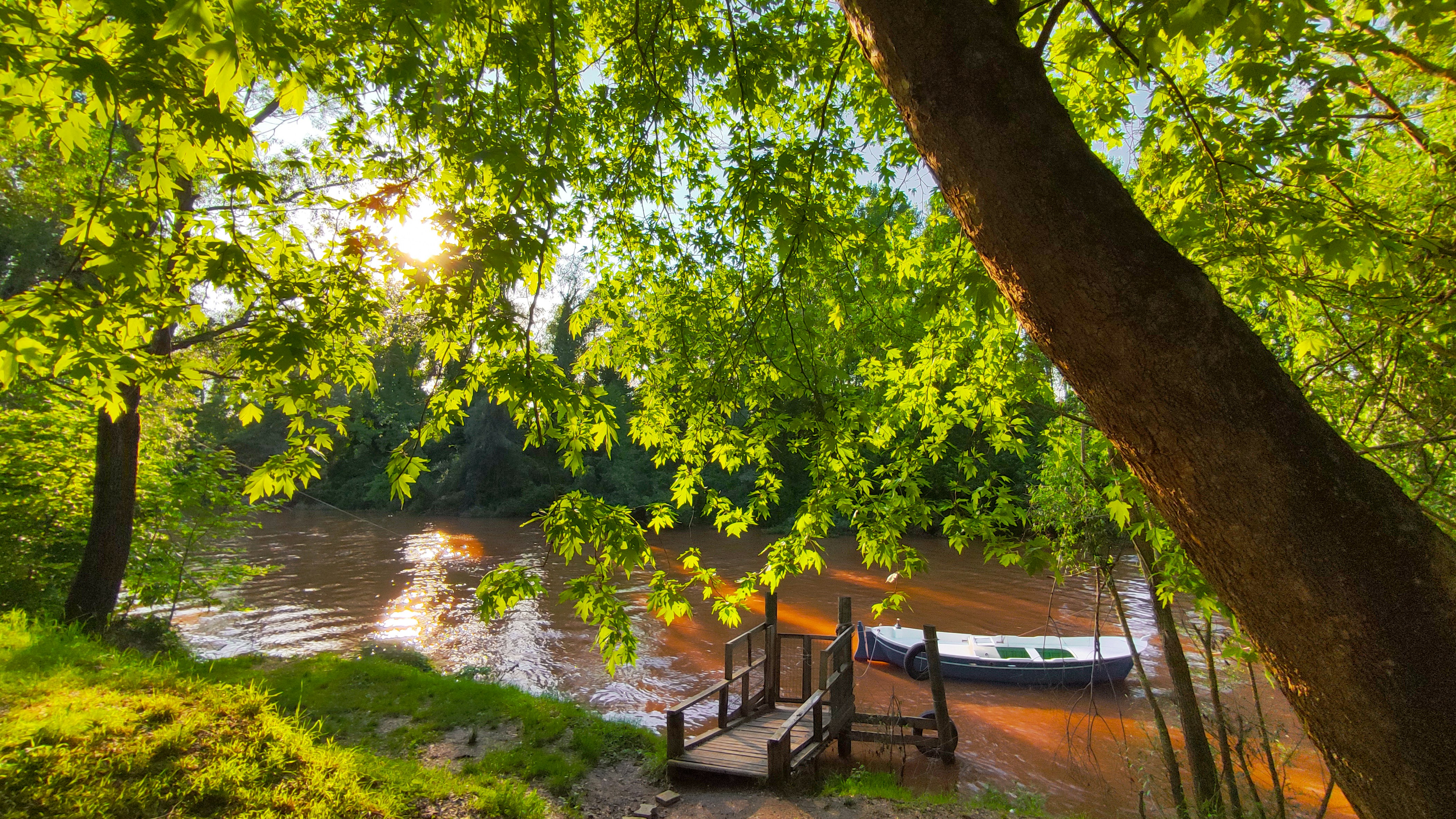 a boat sitting on top of a river next to a forest