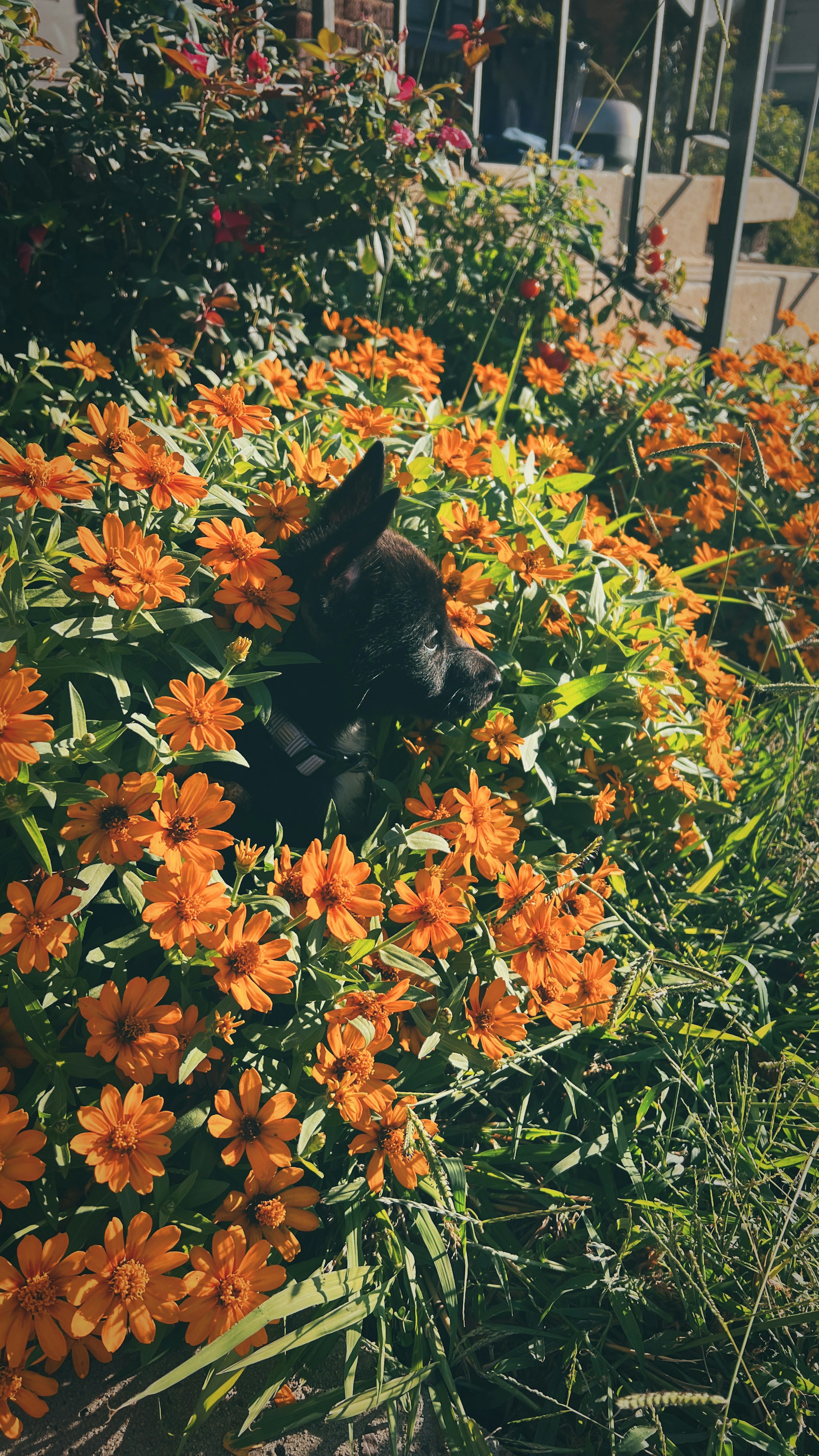 black and white bed linen