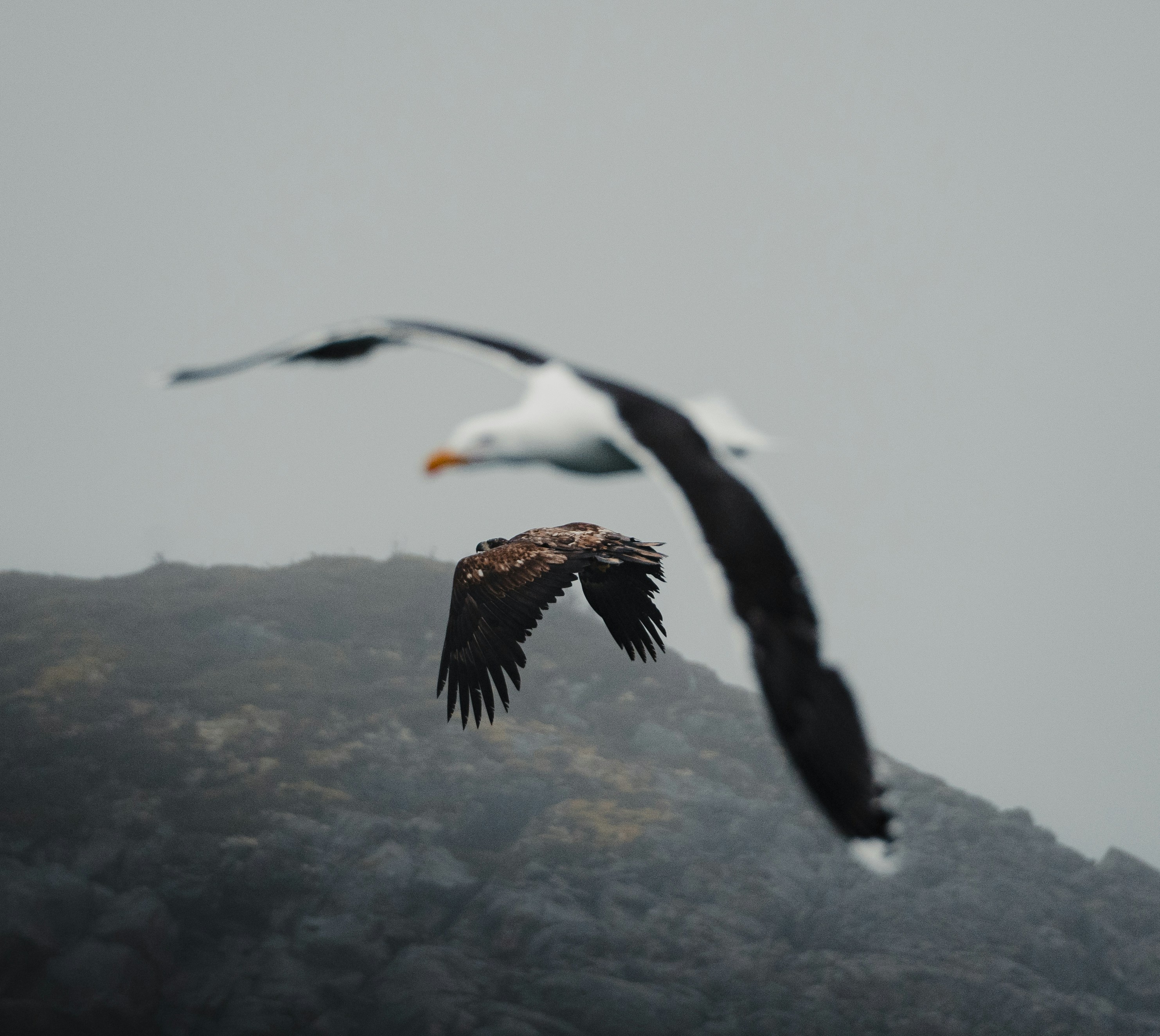 Photo by michielannaert
