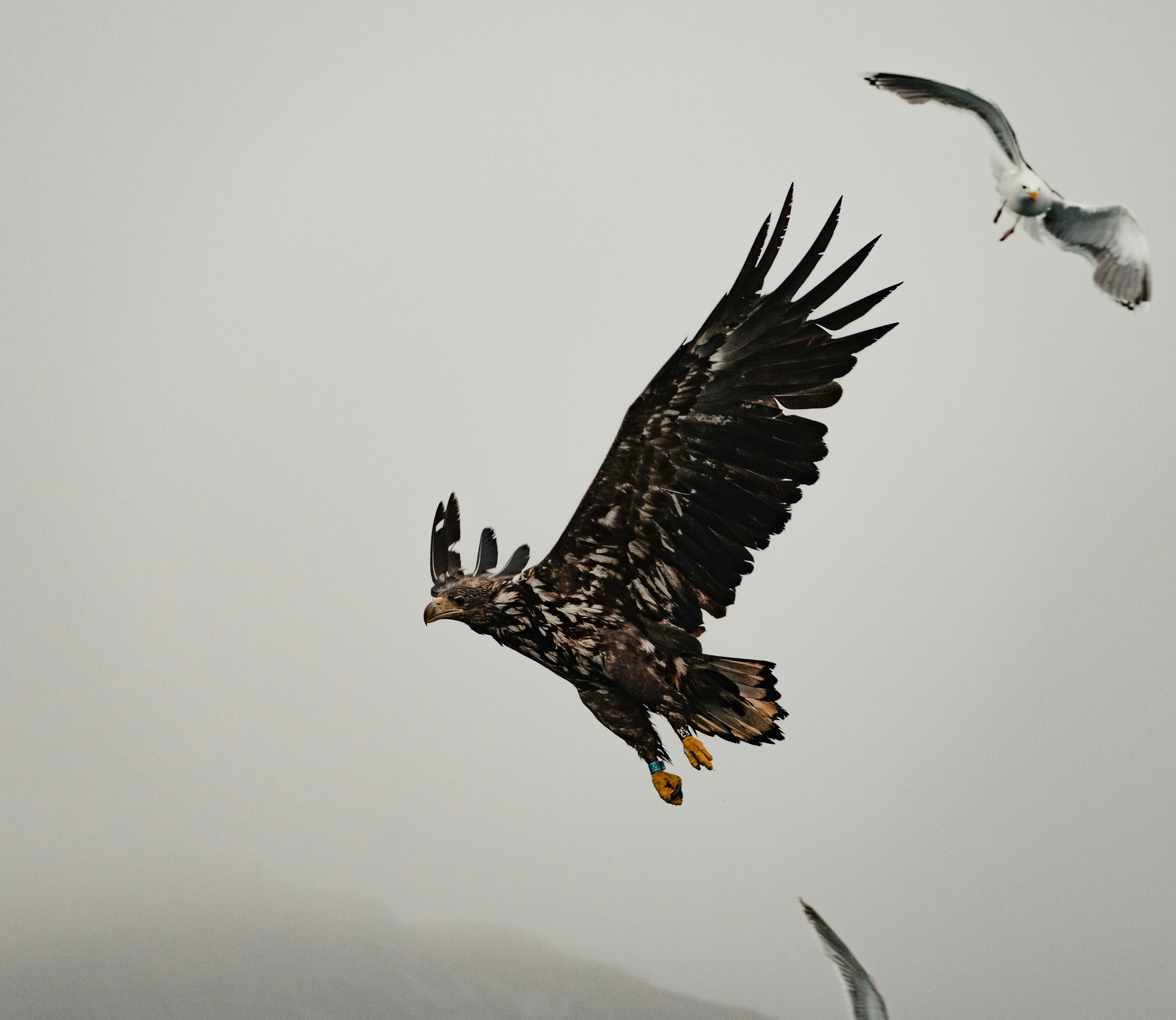 Photo by michielannaert