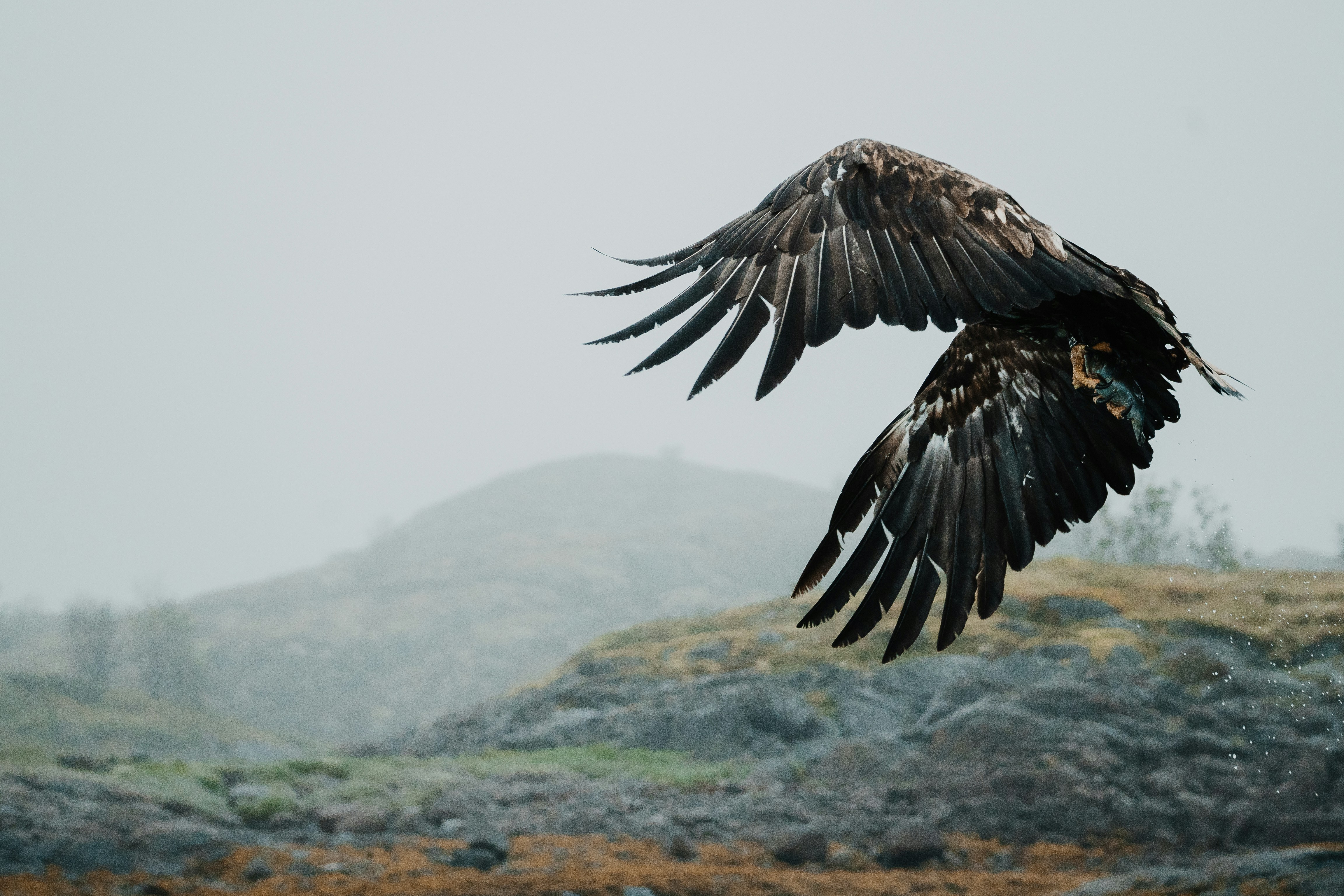 Photo by michielannaert