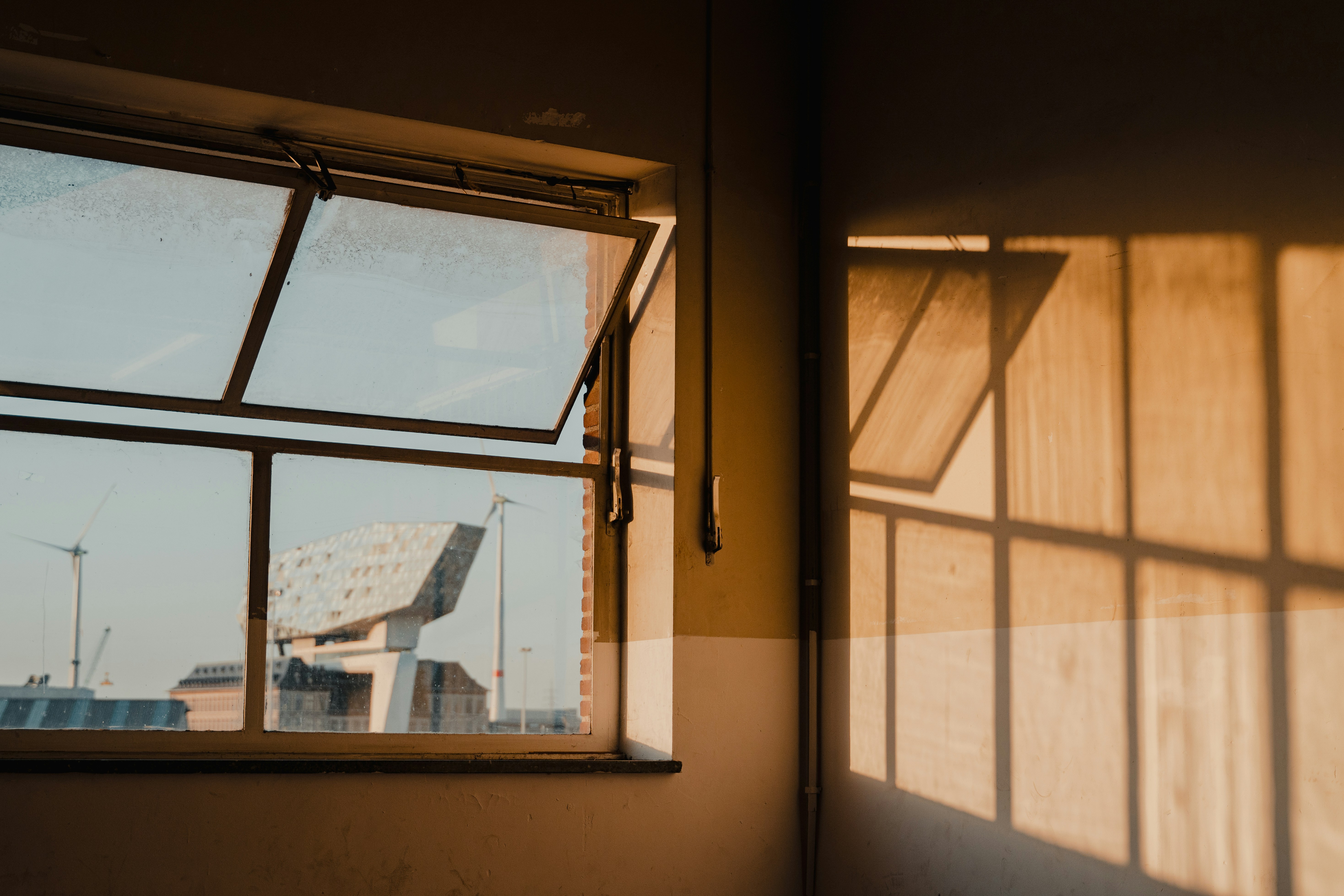 Photo by michielannaert