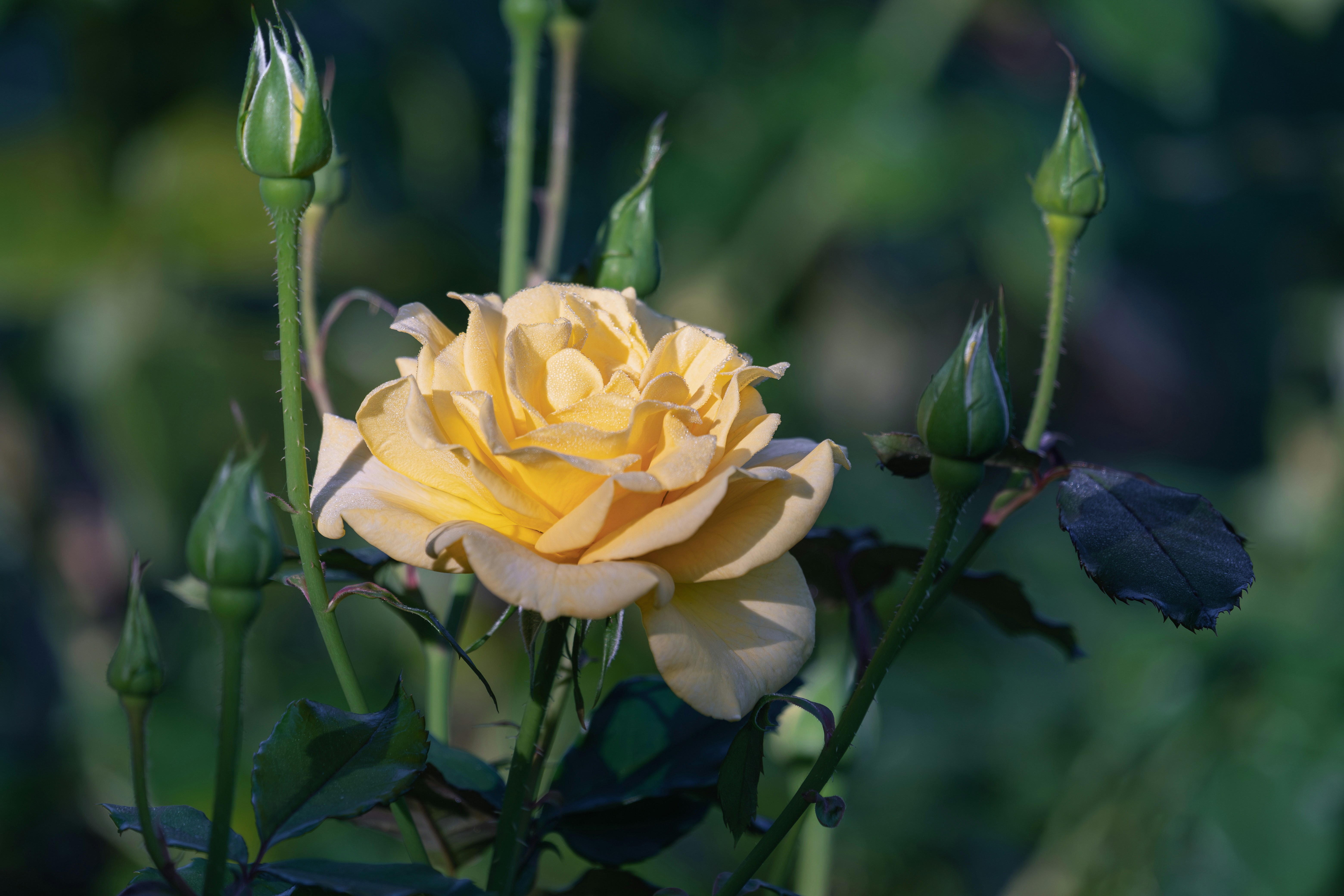 Photo by couleuroriginal