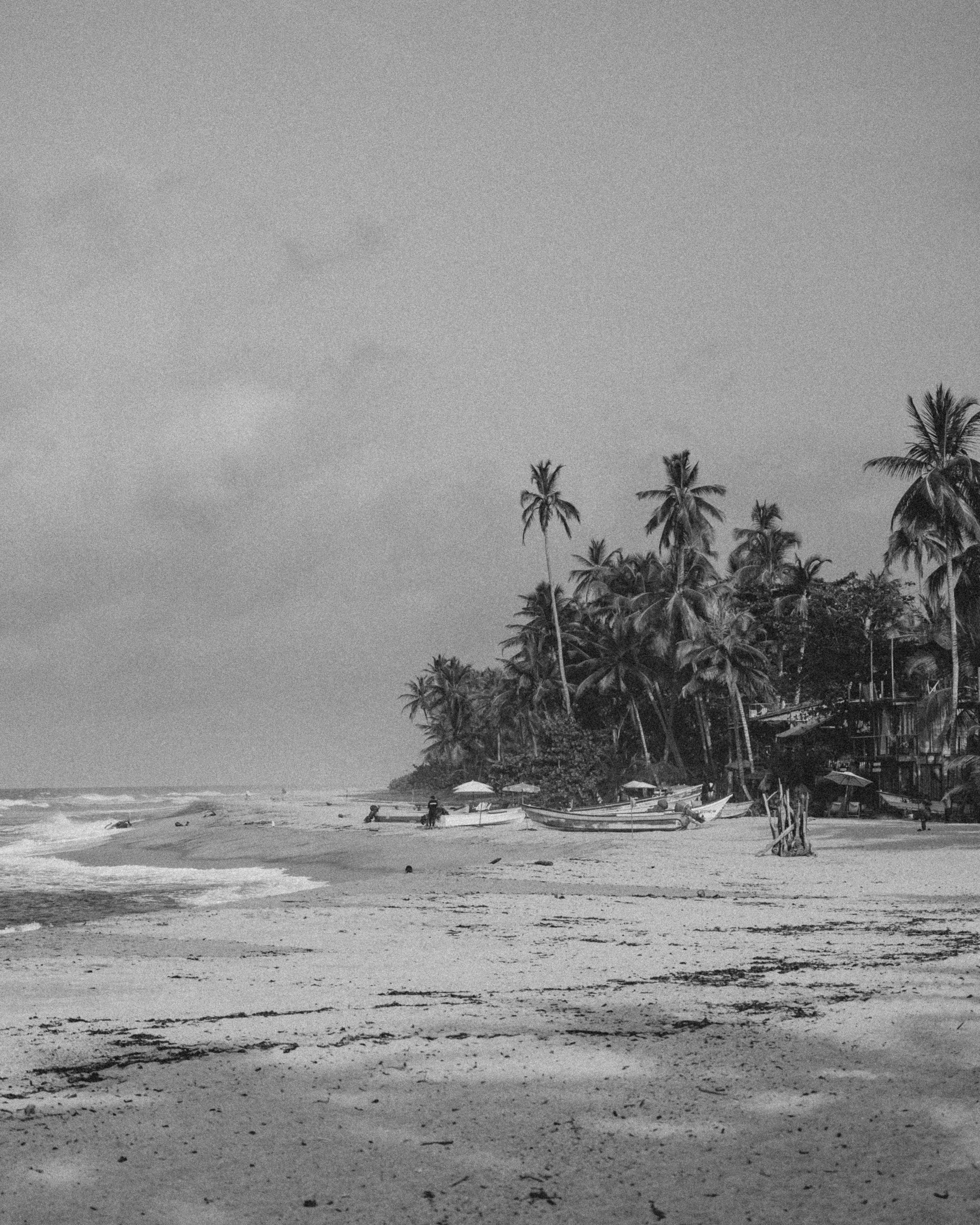 Photo by michielannaert