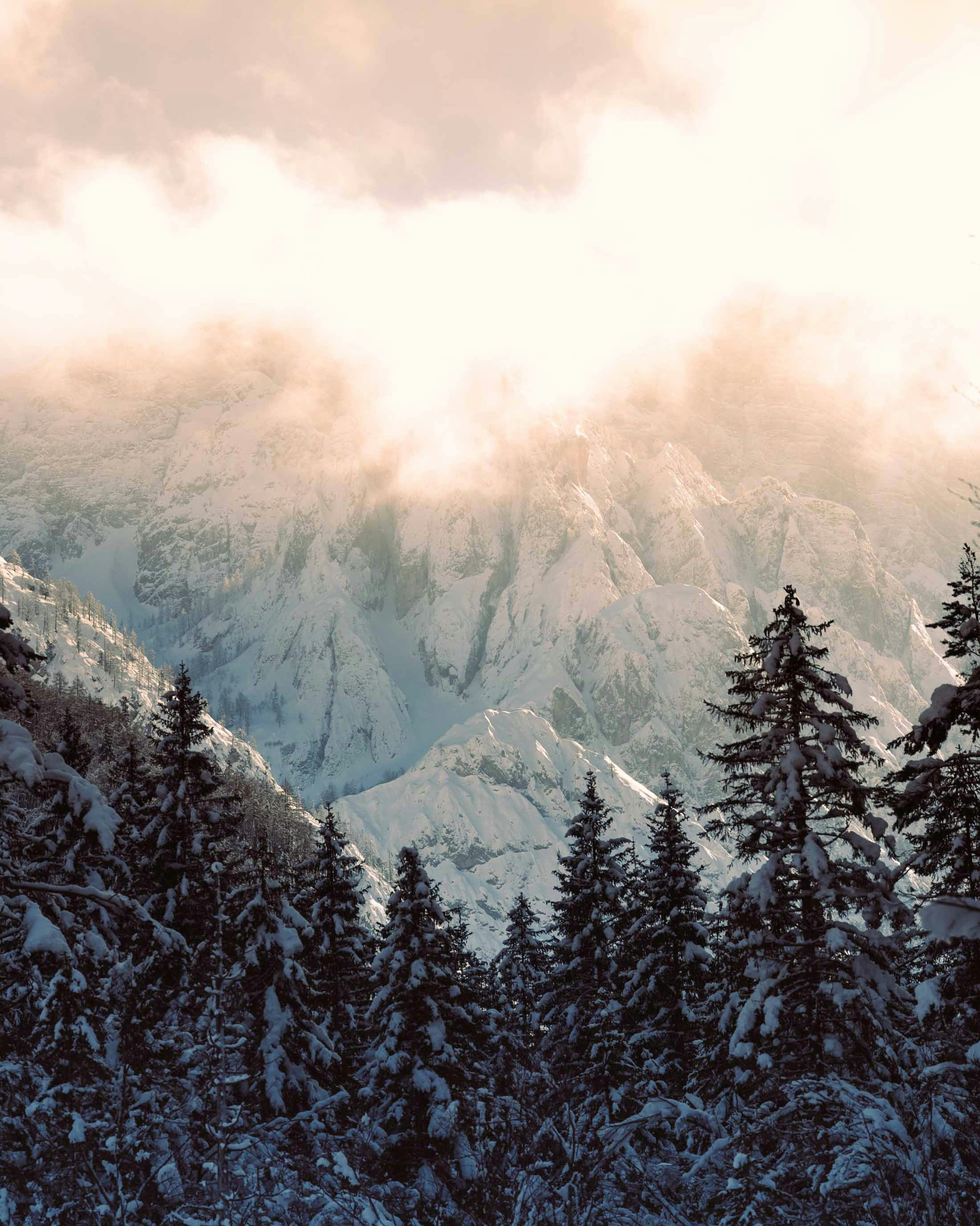 Photo by michielannaert