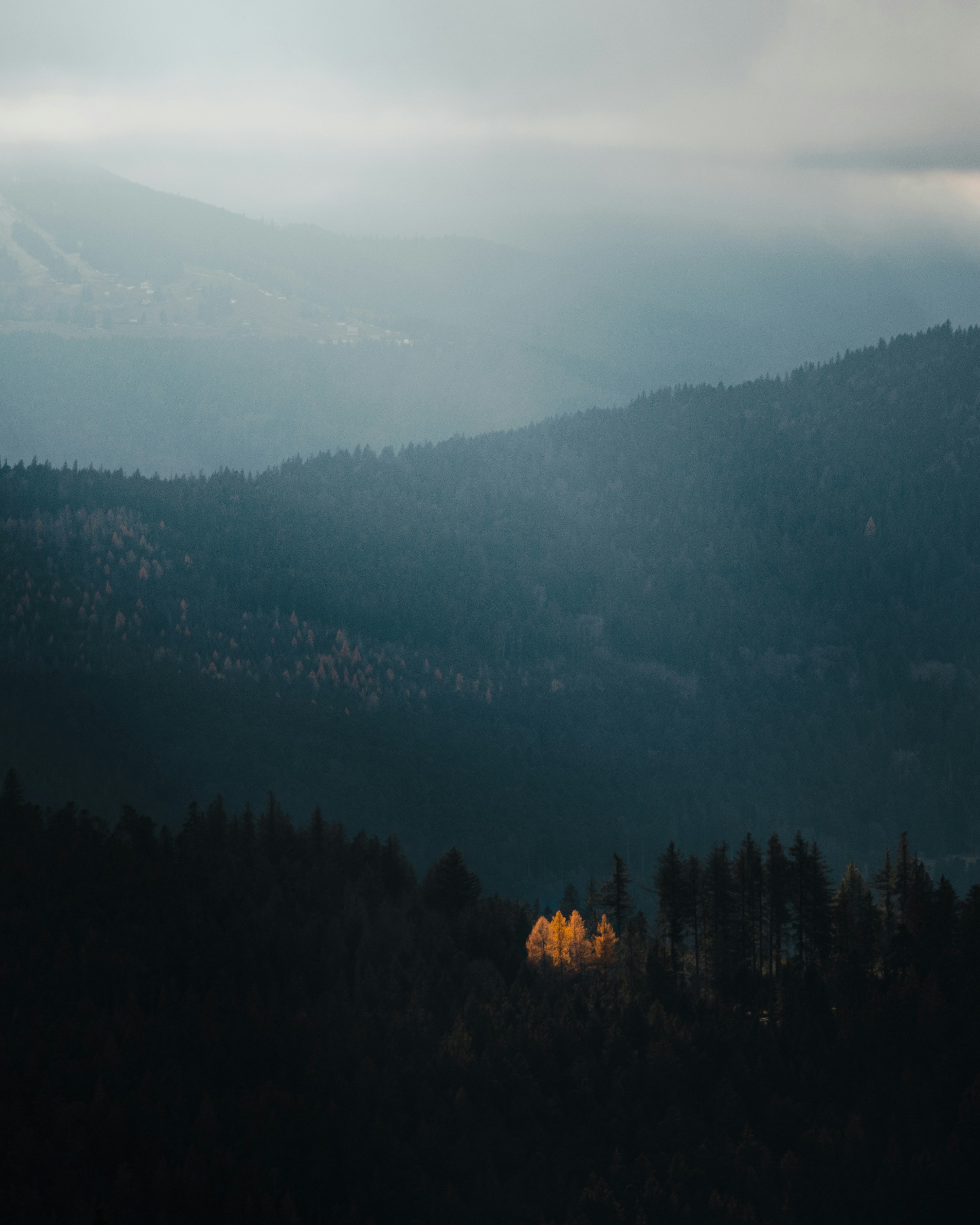 Photo by michielannaert