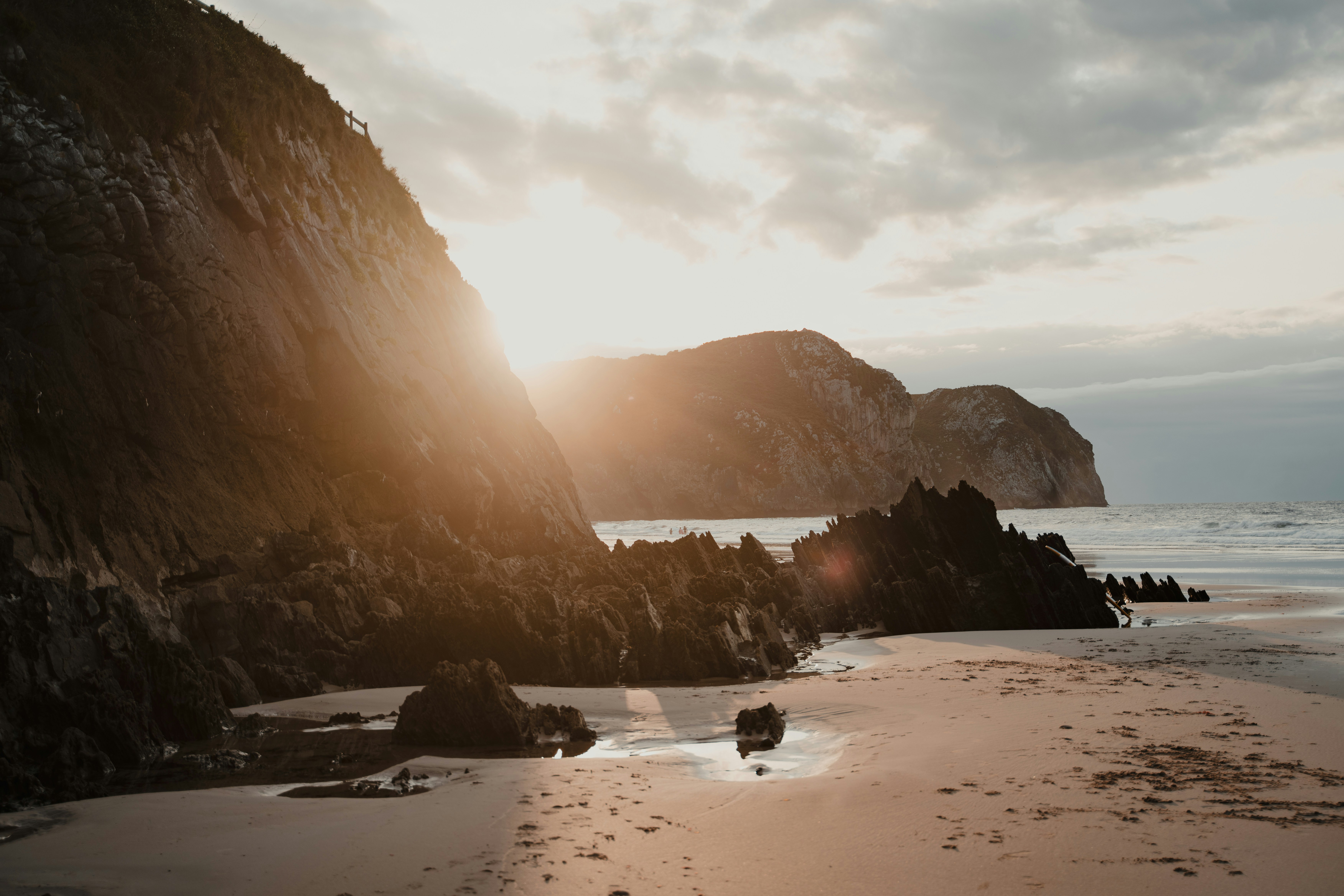 Featured image of post Maestro