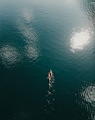 A kayaker paddling through calm waters with a bright blue sky overhead.