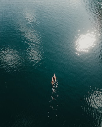 A kayaker paddling through calm waters with a bright blue sky overhead.
