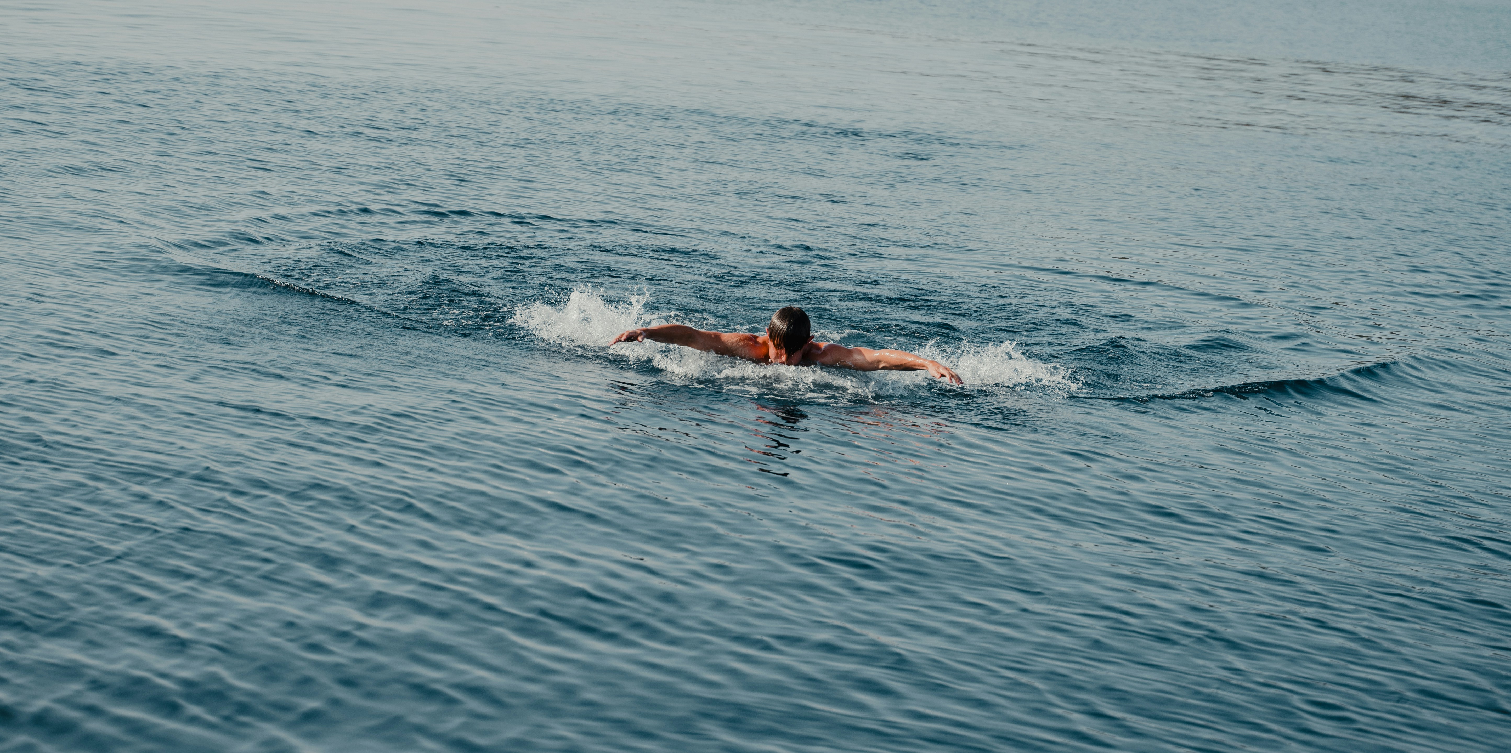 Photo by michielannaert